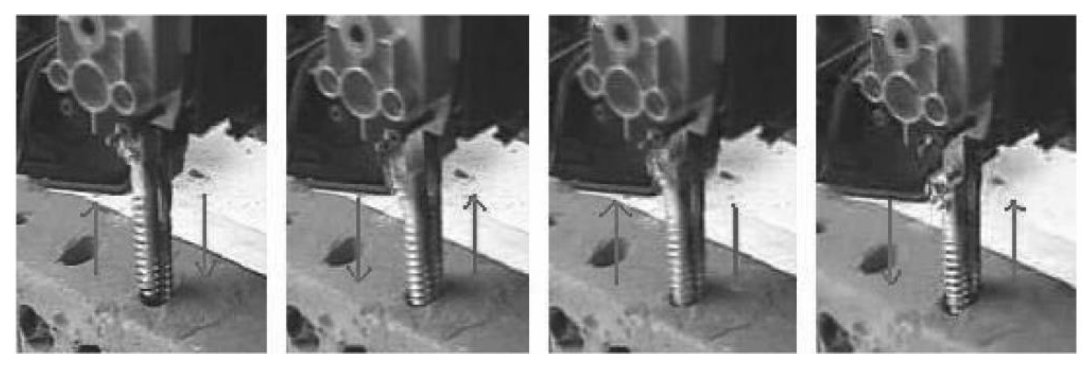 Biomimetics 05 00038 g002