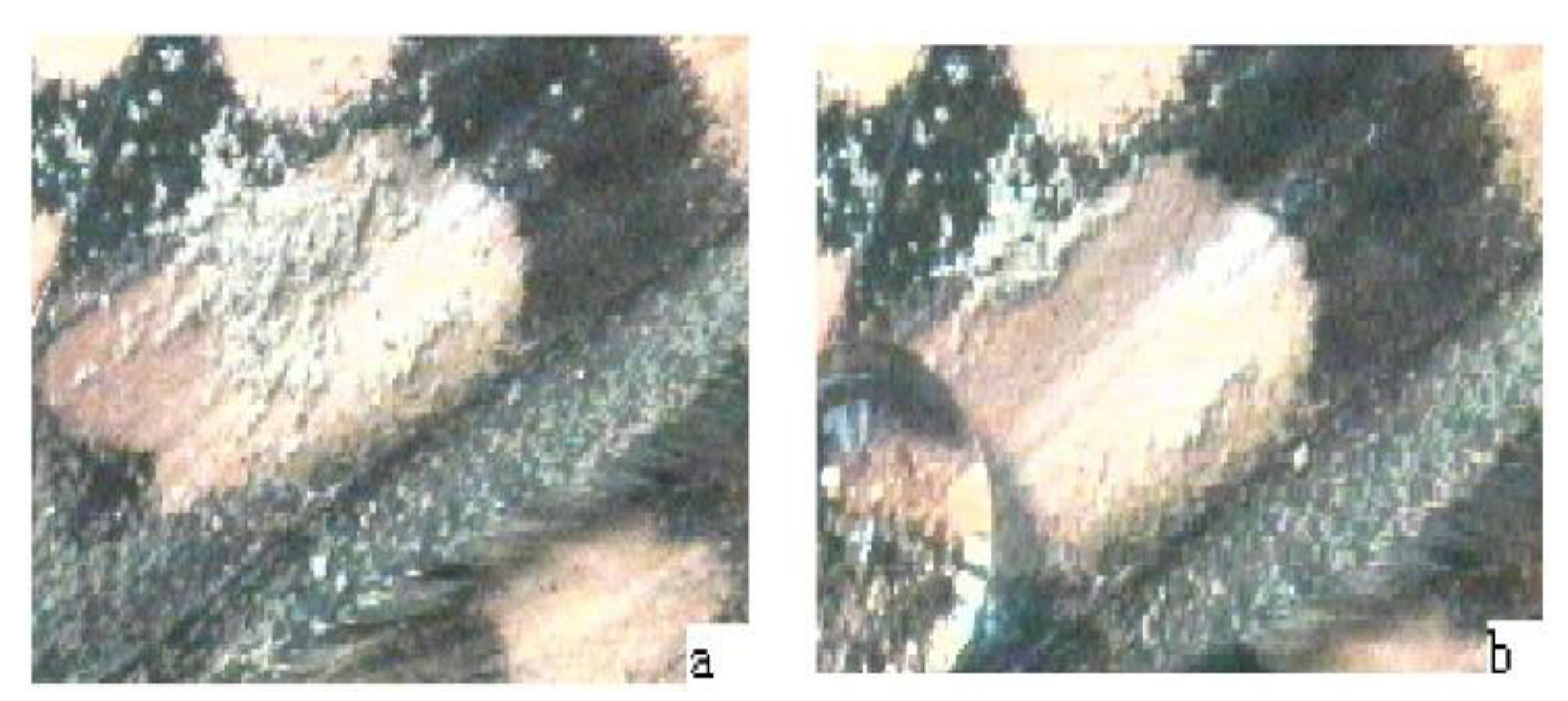 Biomimetics 05 00040 g008