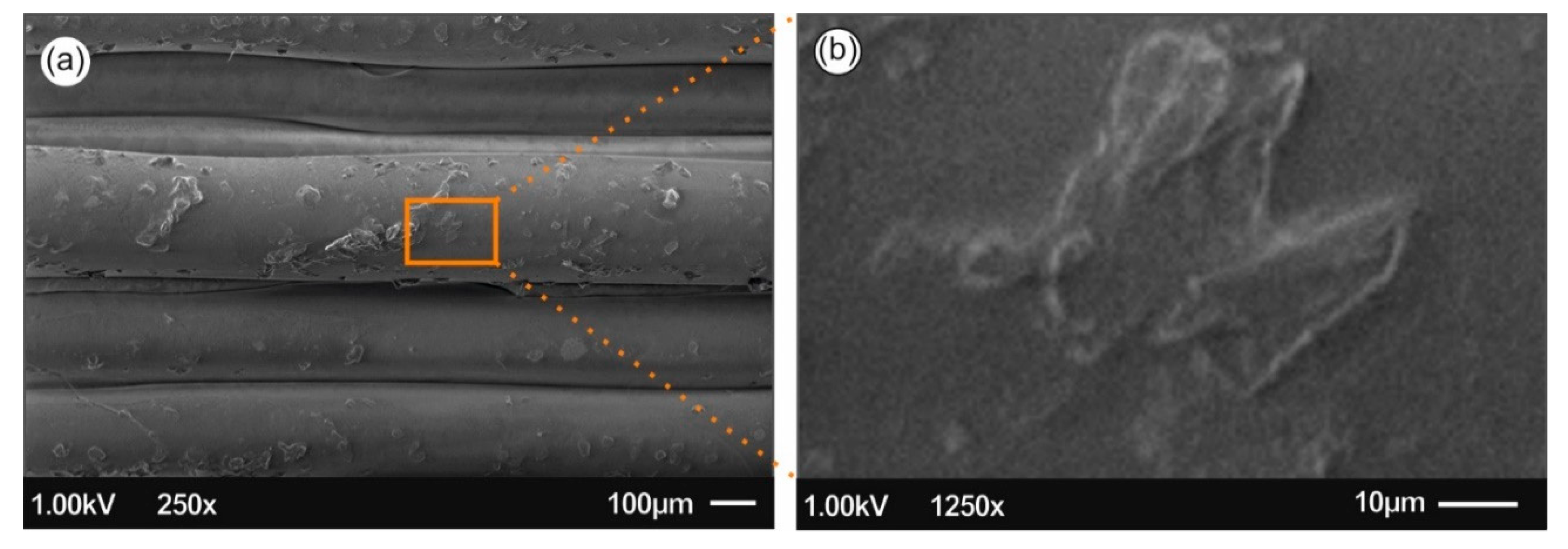 Biomimetics 05 00042 g007