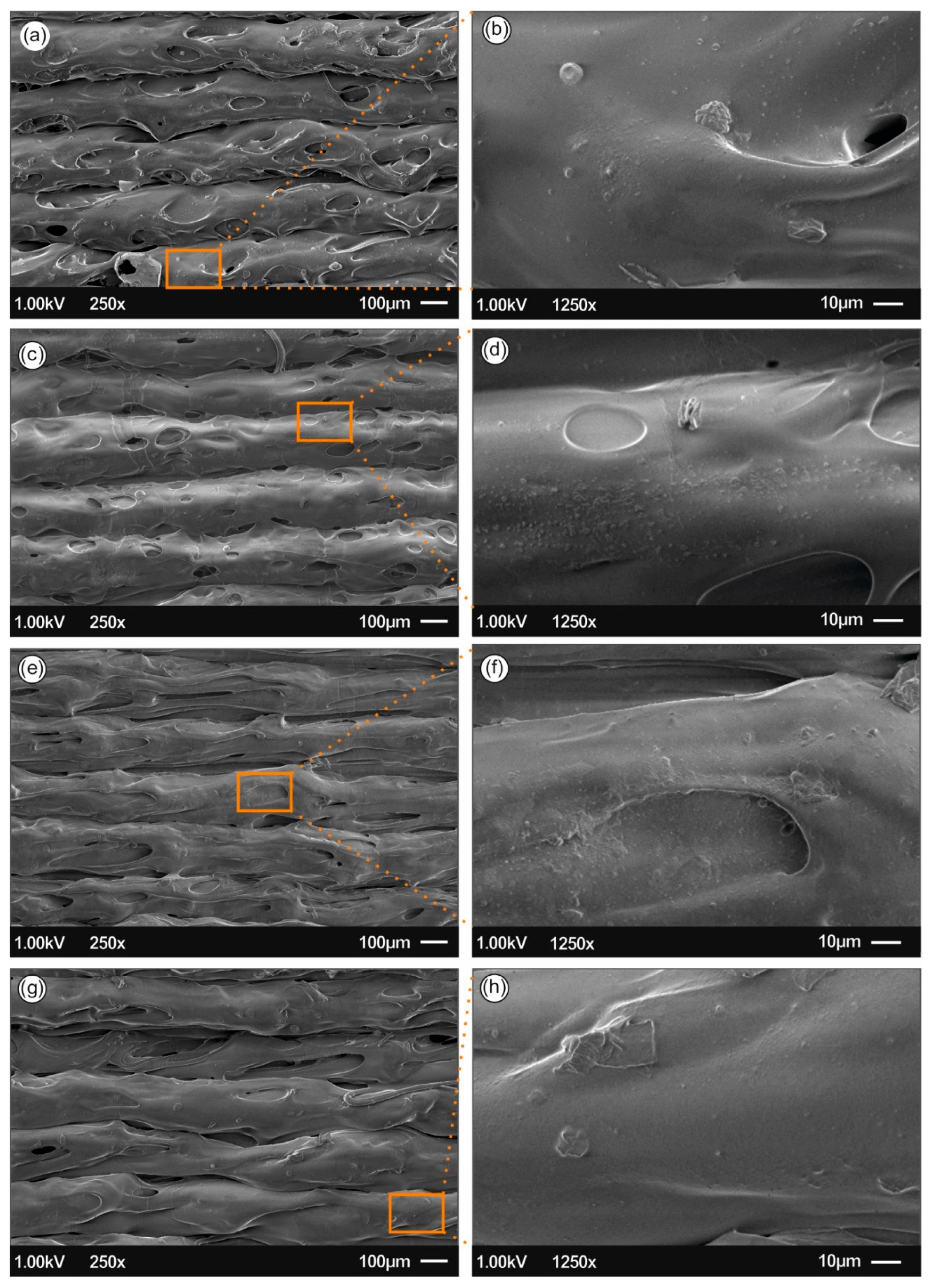 Biomimetics 05 00042 g008