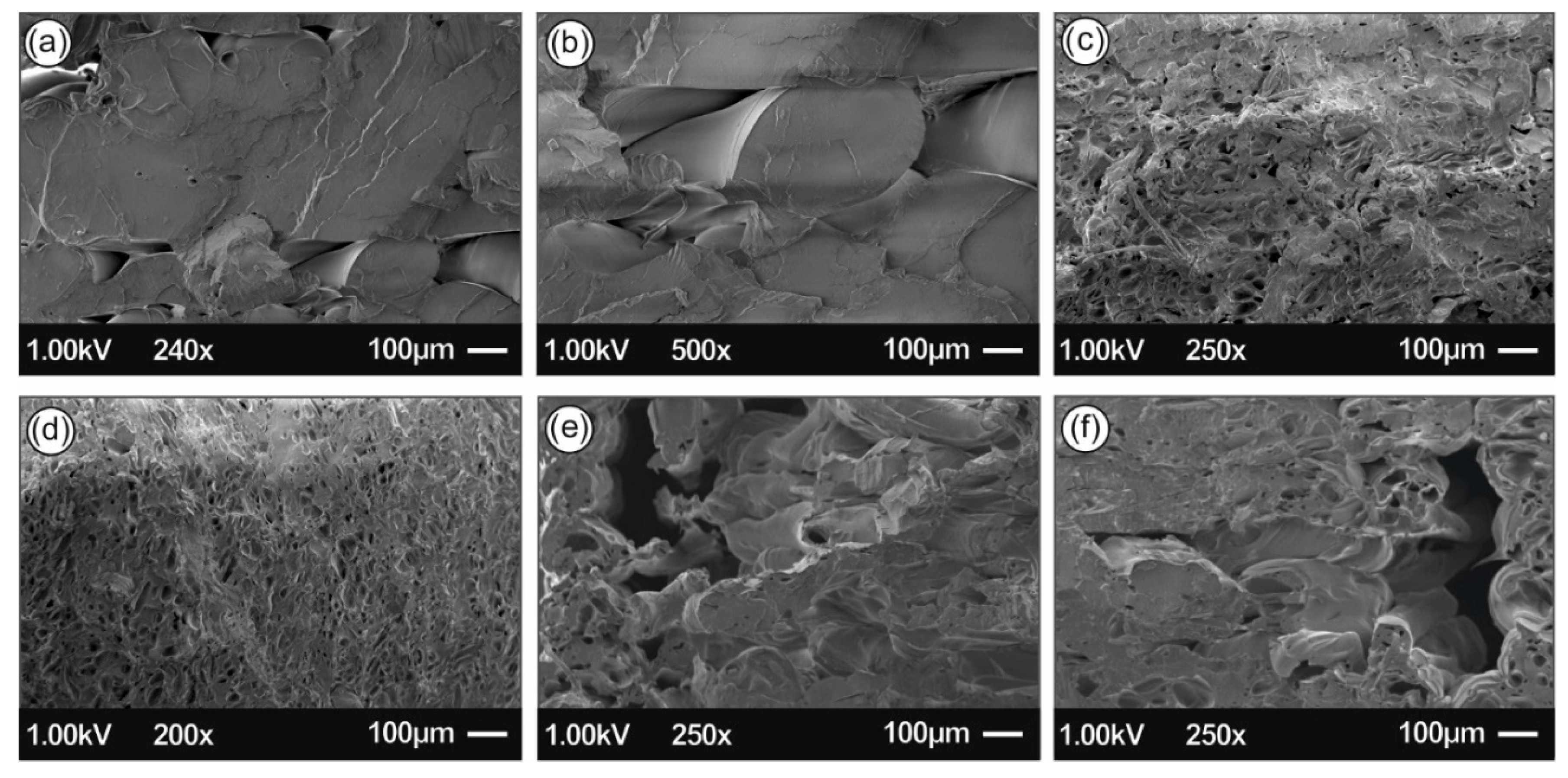 Biomimetics 05 00042 g013