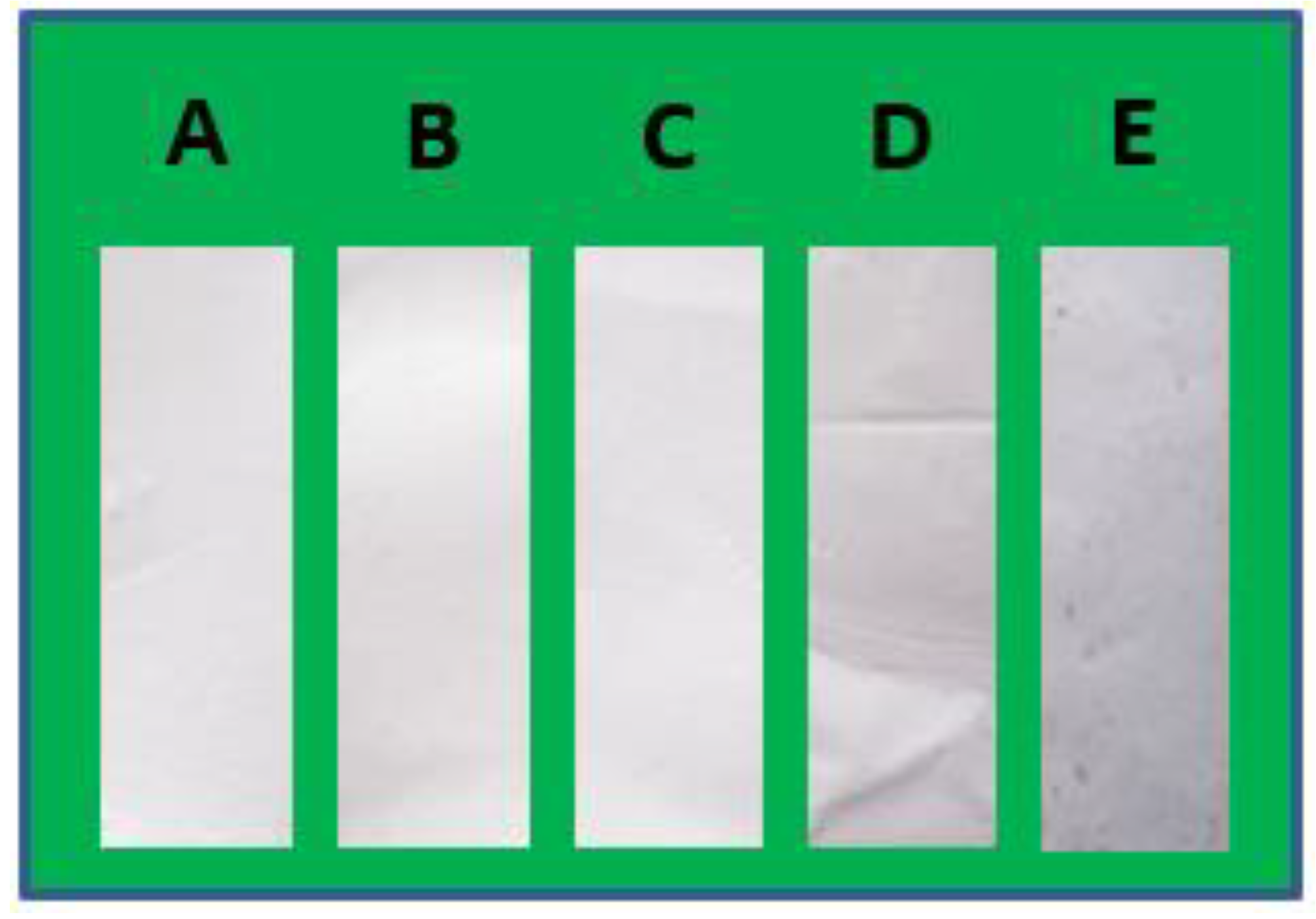 Biomimetics 05 00043 g001