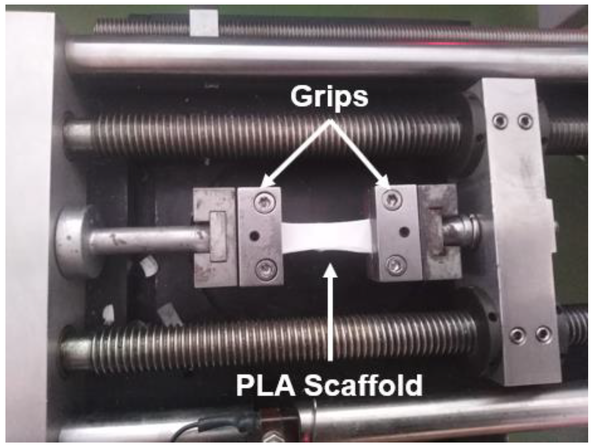 Biomimetics 05 00043 g008