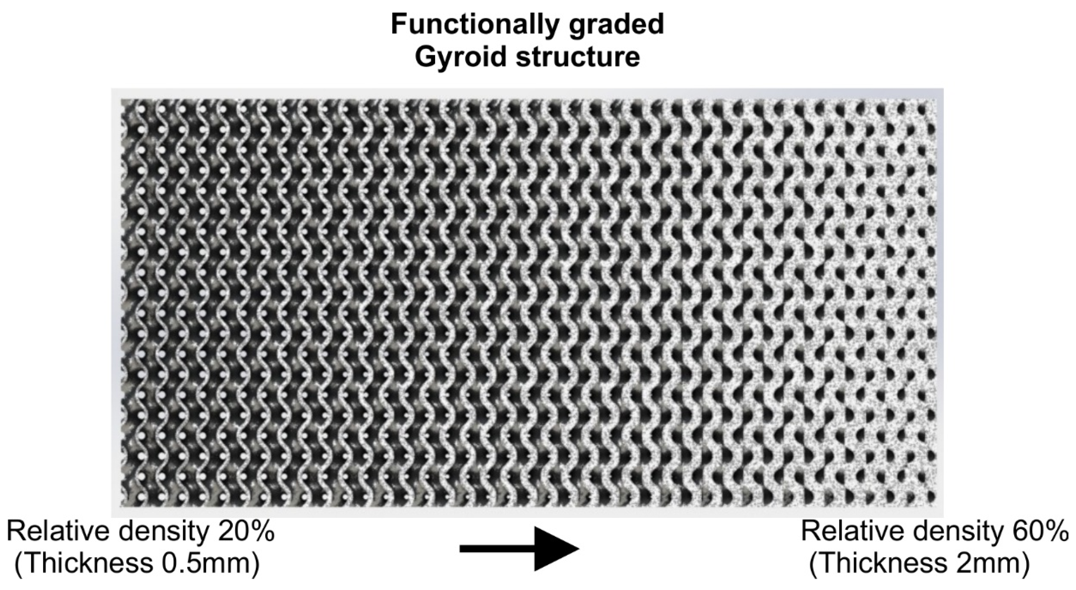 Biomimetics 05 00044 g008 Biomimetics 05 00044 g008