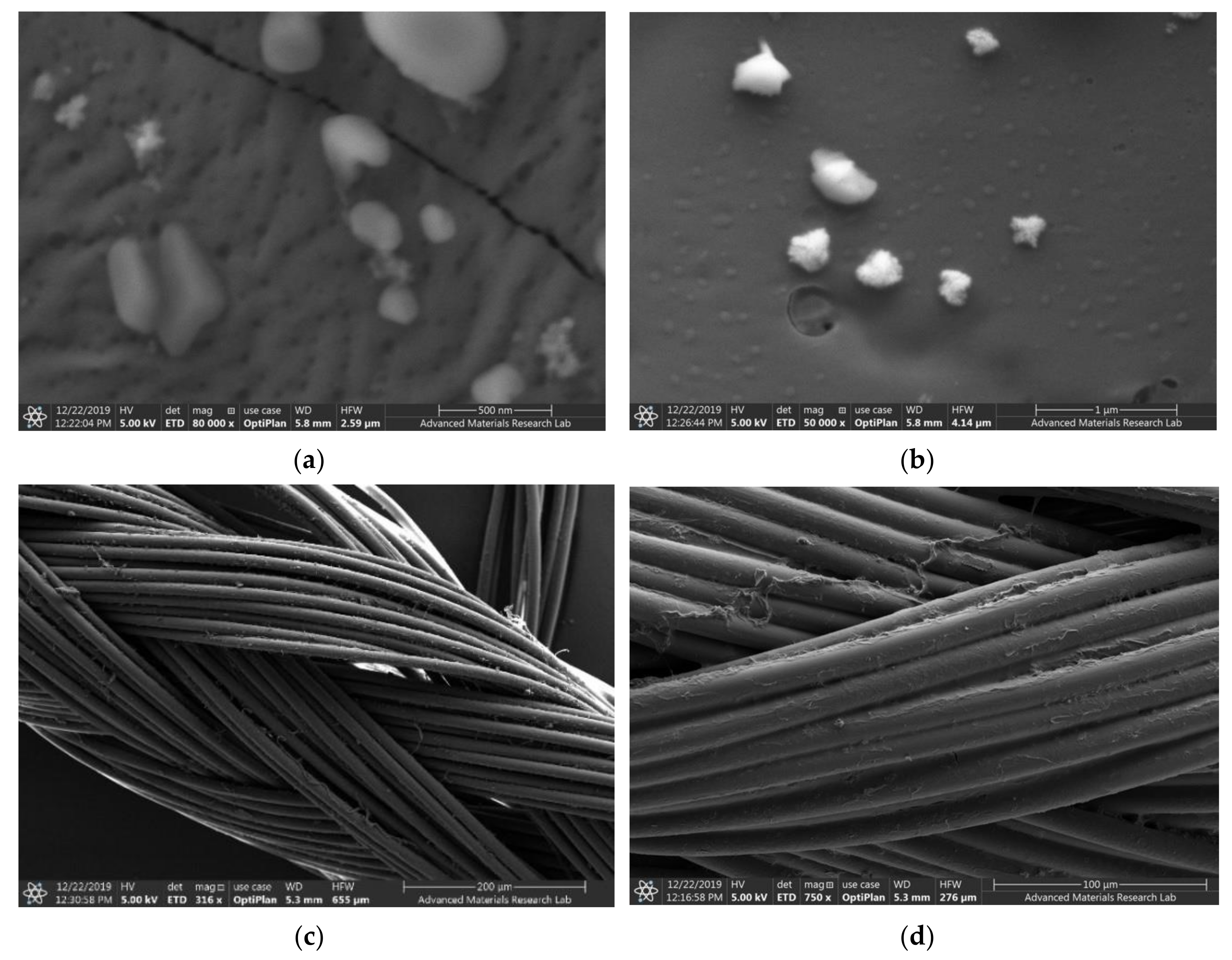 Biomimetics 05 00045 g001