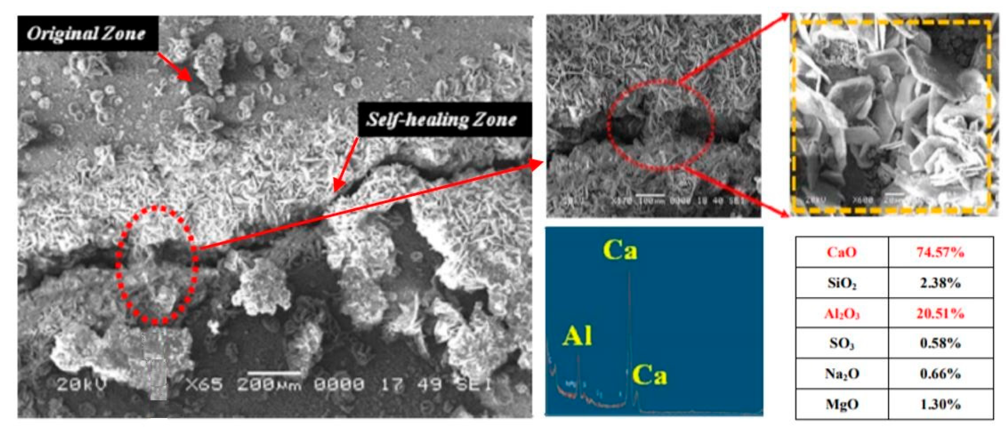 Biomimetics 05 00047 g005 Biomimetics 05 00047 g005