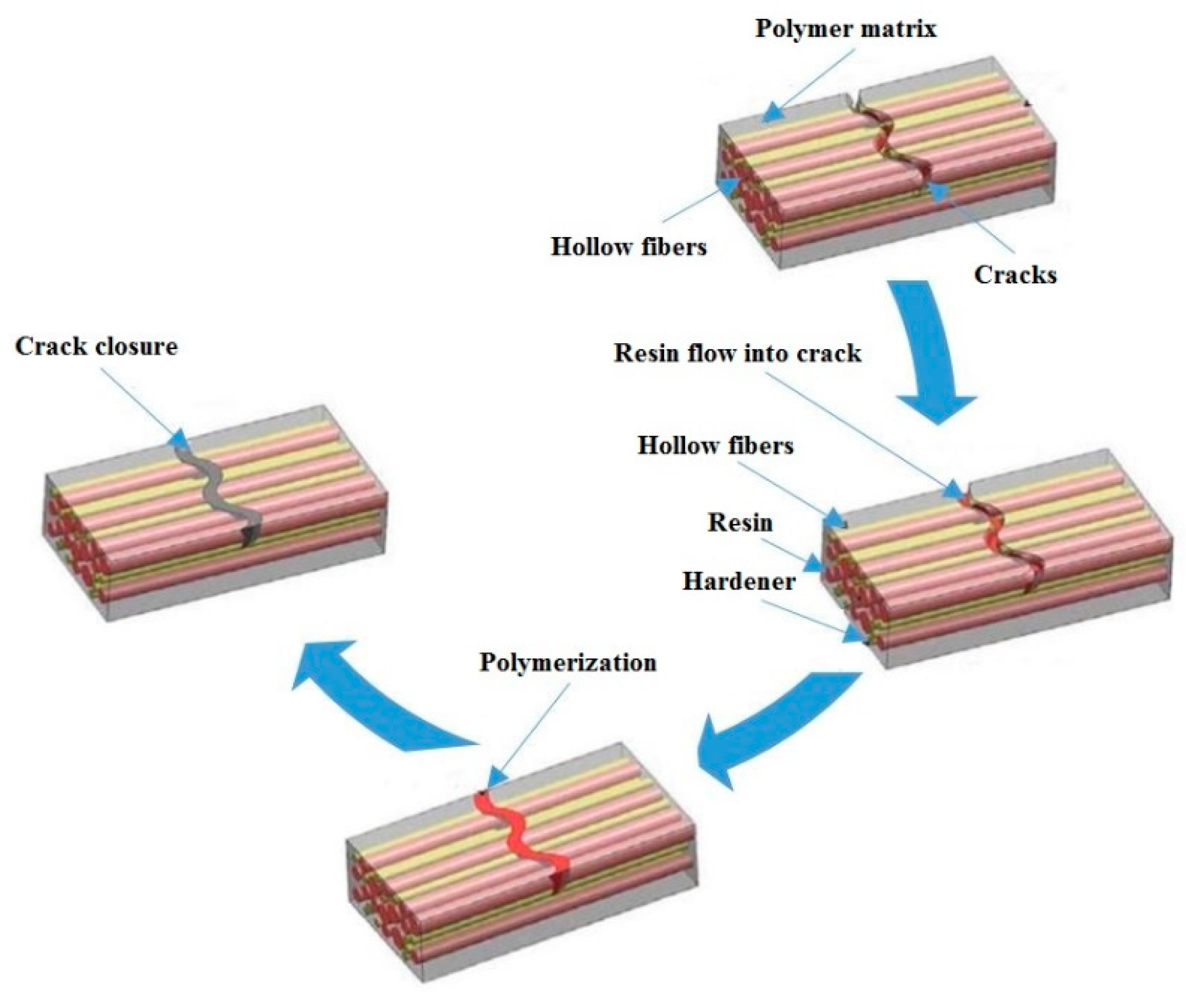 Biomimetics 05 00047 g006 Biomimetics 05 00047 g006