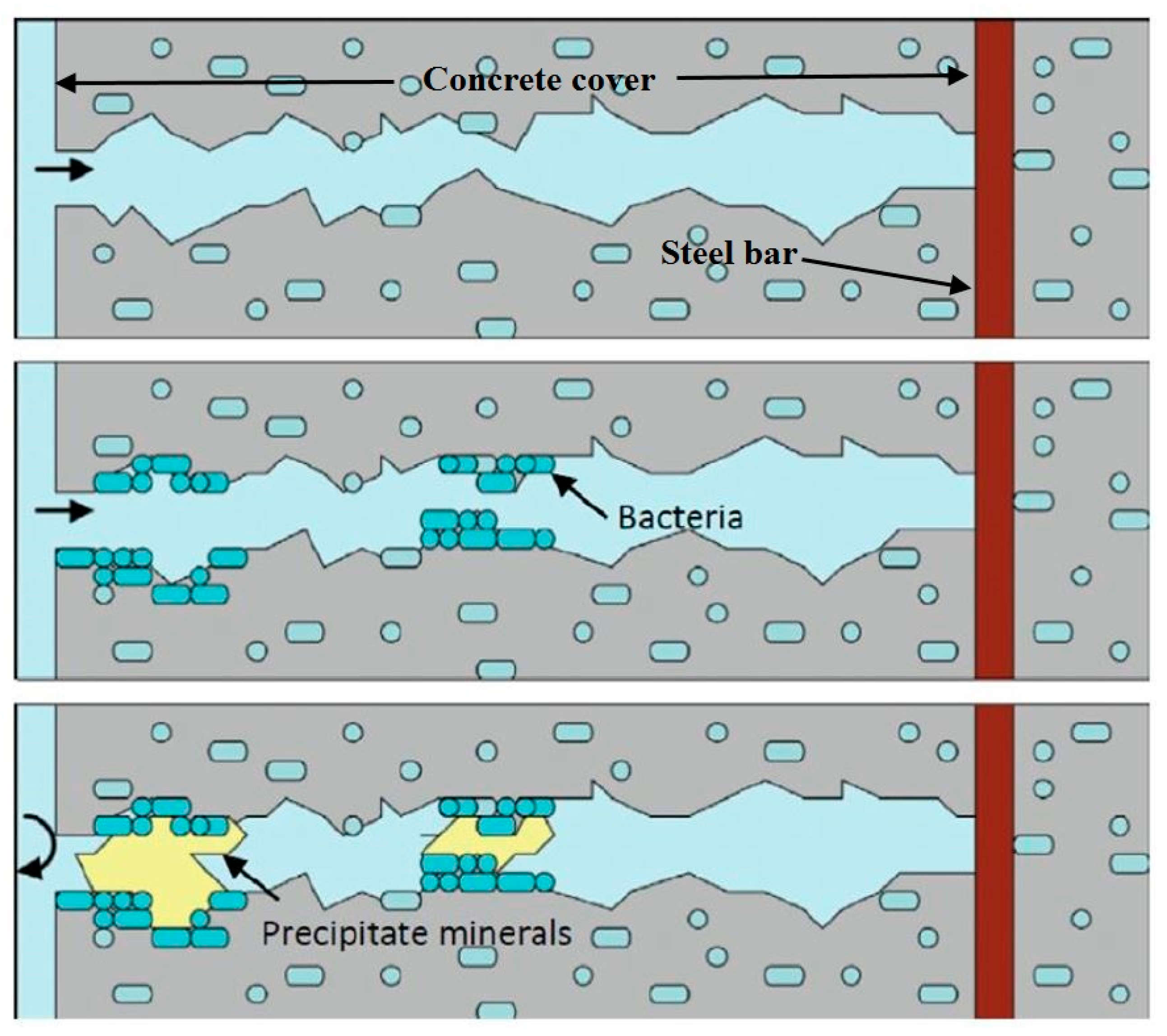 Biomimetics 05 00047 g007 Biomimetics 05 00047 g007