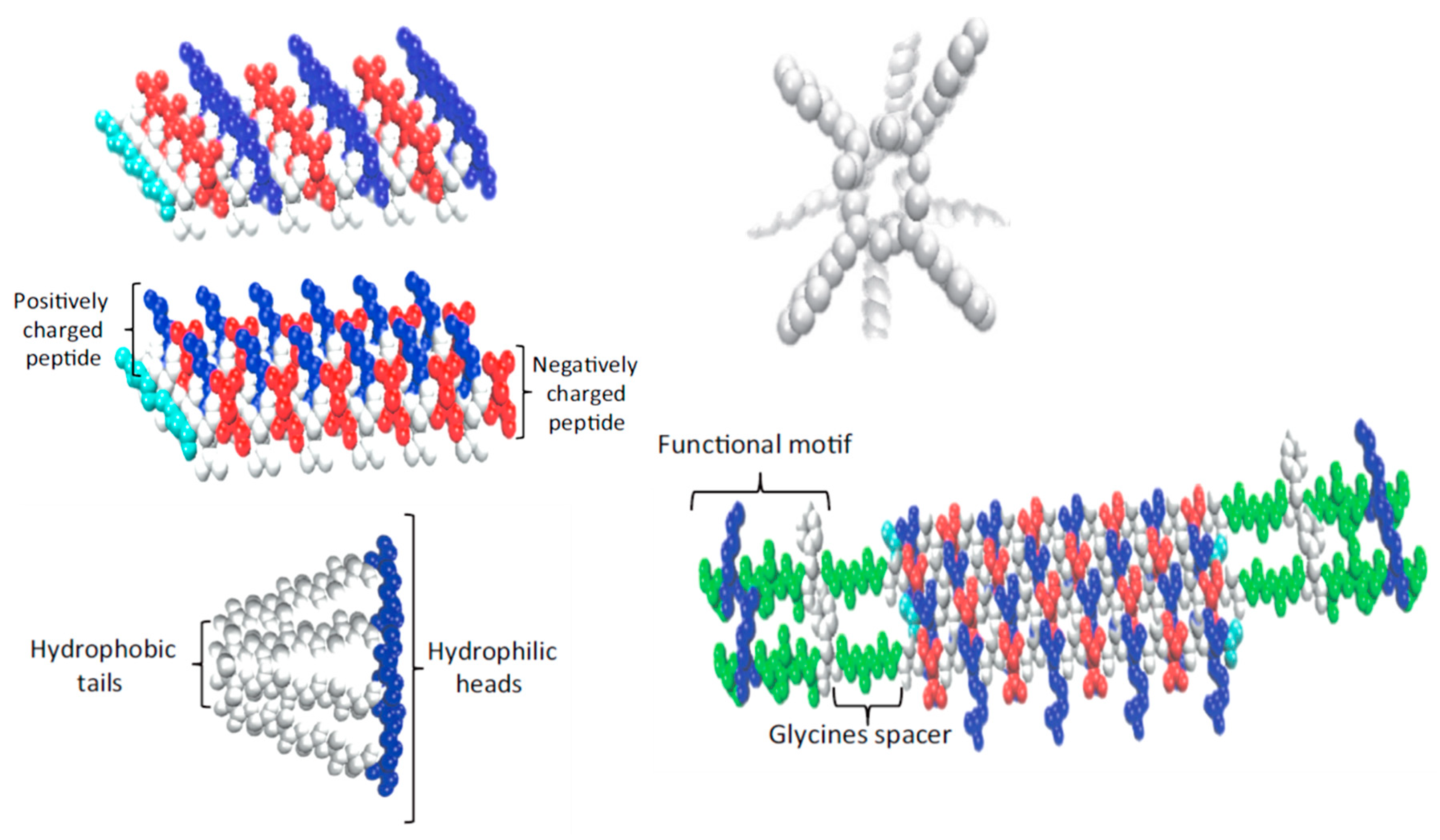Biomimetics 05 00049 g002 Biomimetics 05 00049 g002