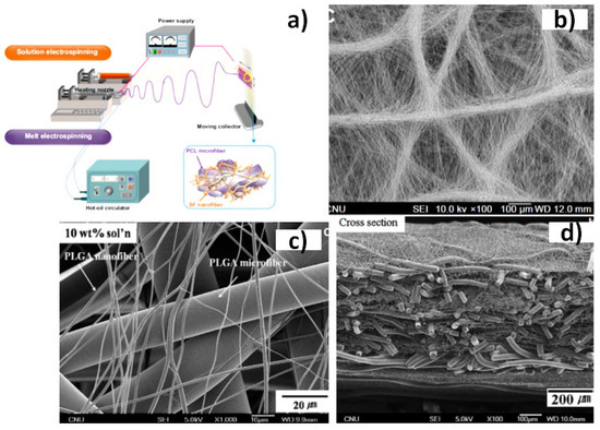 Biomimetics Free Full Text Biomimetic Hybrid Systems For Tissue Engineering Html