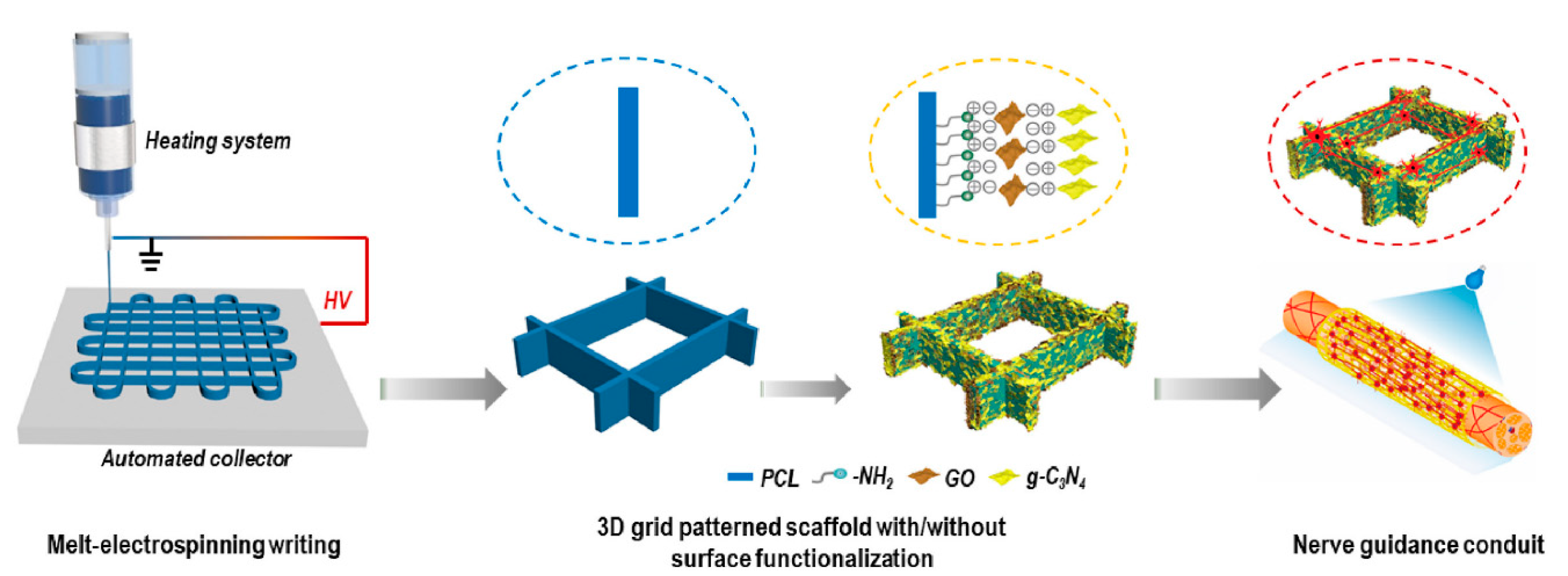 Biomimetics 05 00049 g024