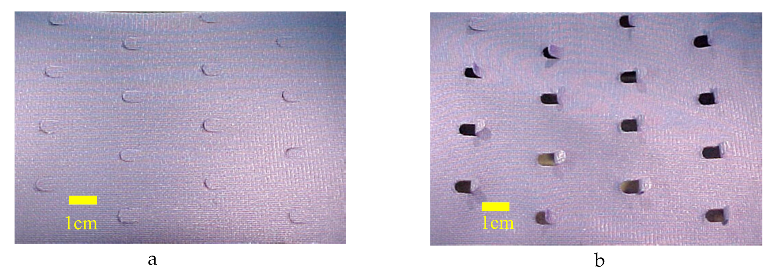 Biomimetics 05 00052 g005