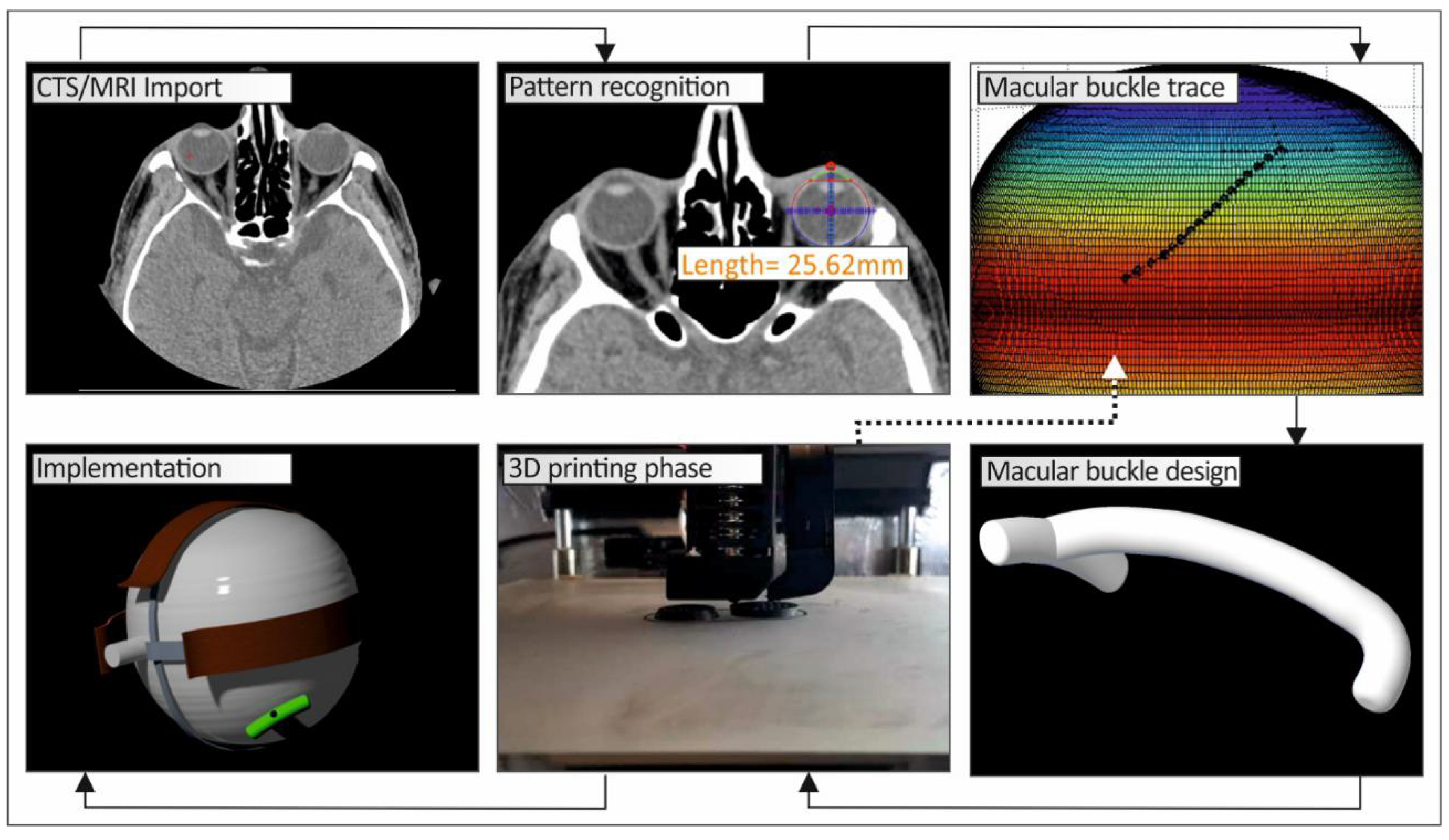 Biomimetics 05 00054 g001