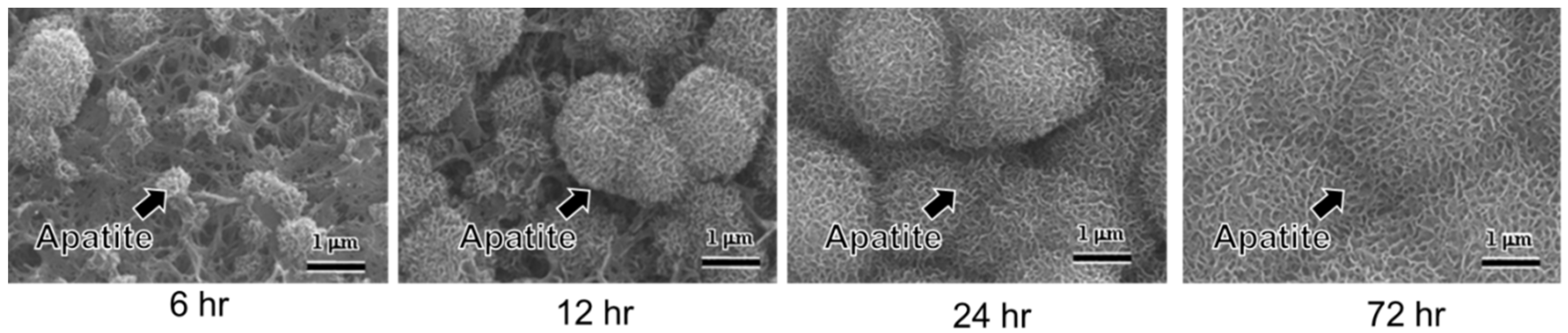 Biomimetics 05 00057 g001 Biomimetics 05 00057 g001