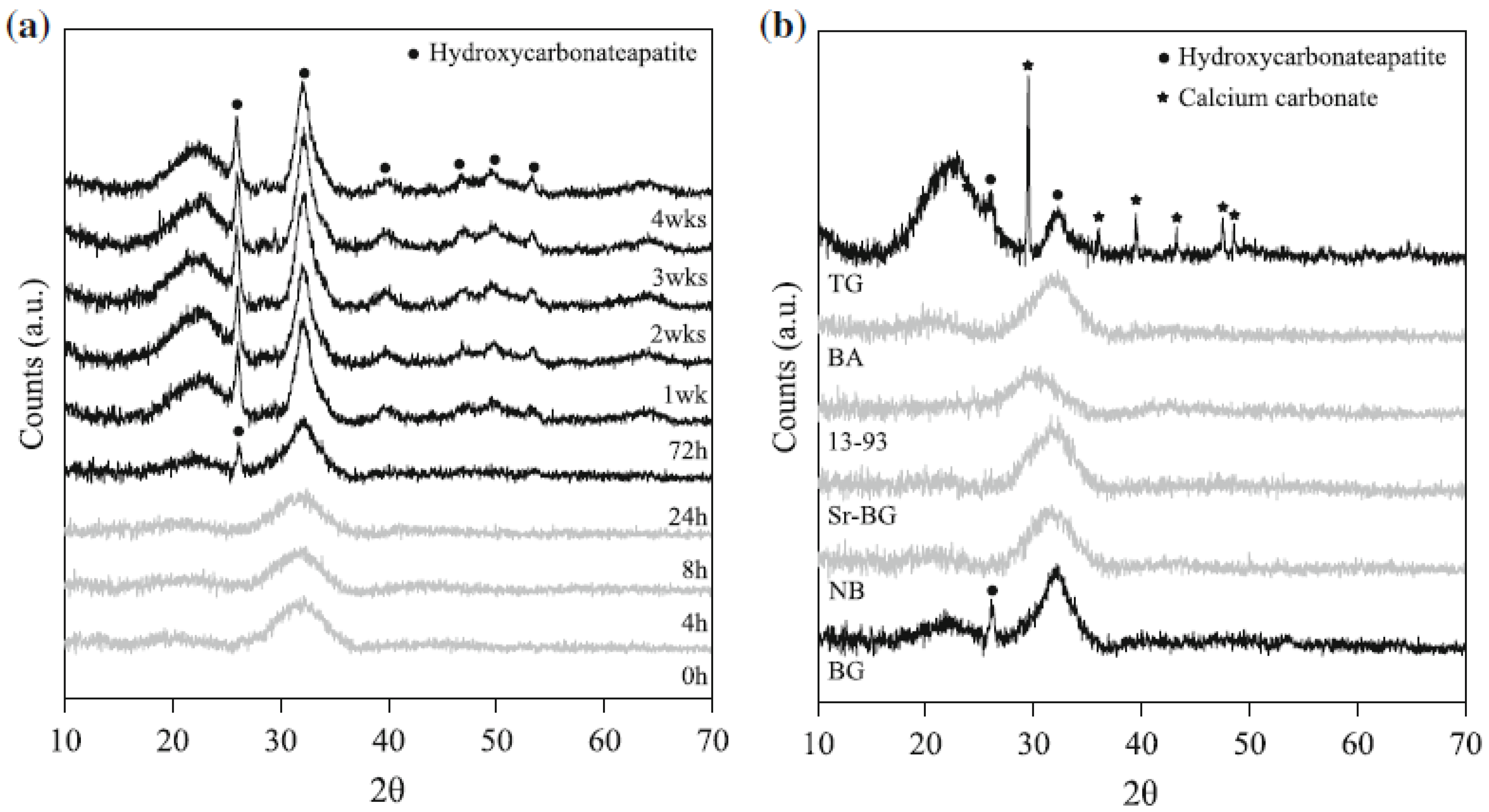 Biomimetics 05 00057 g003 Biomimetics 05 00057 g003