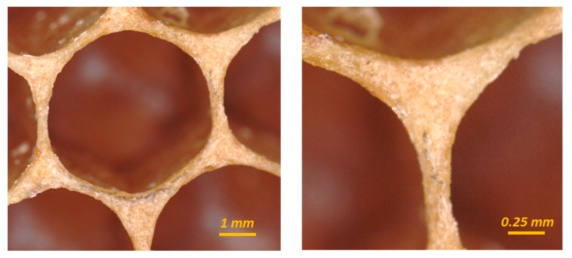 Biomimetics 05 00059 g001