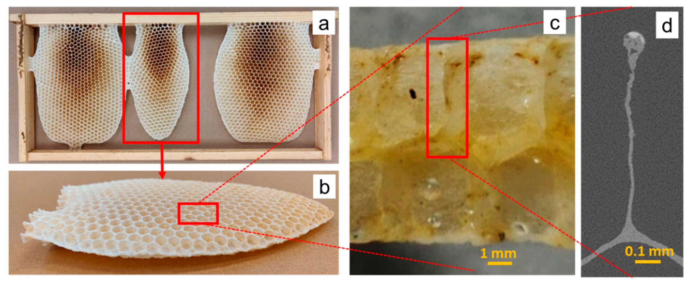 Biomimetics 05 00059 g002