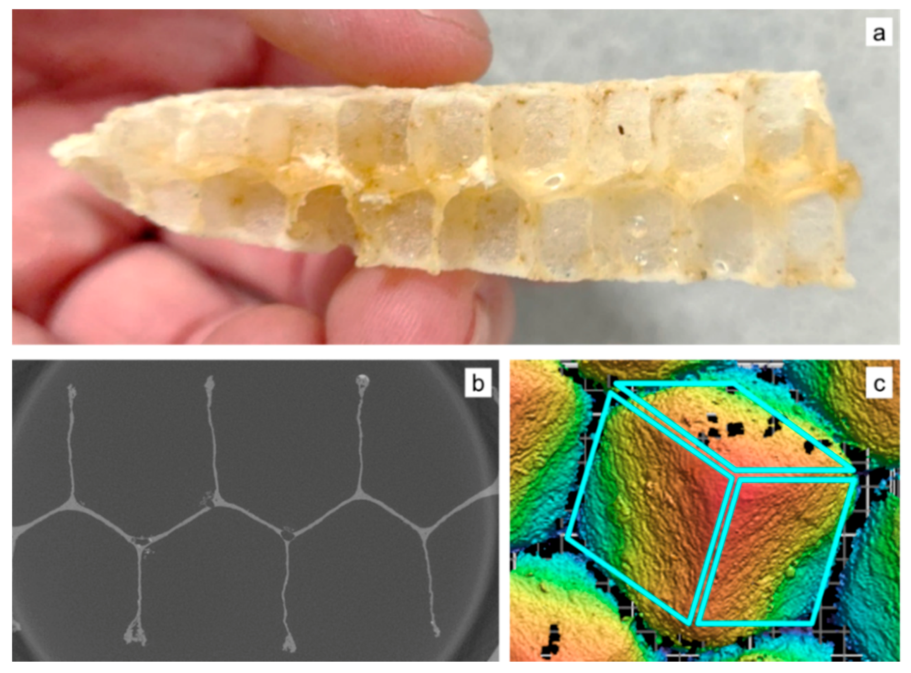 Biomimetics 05 00059 g003