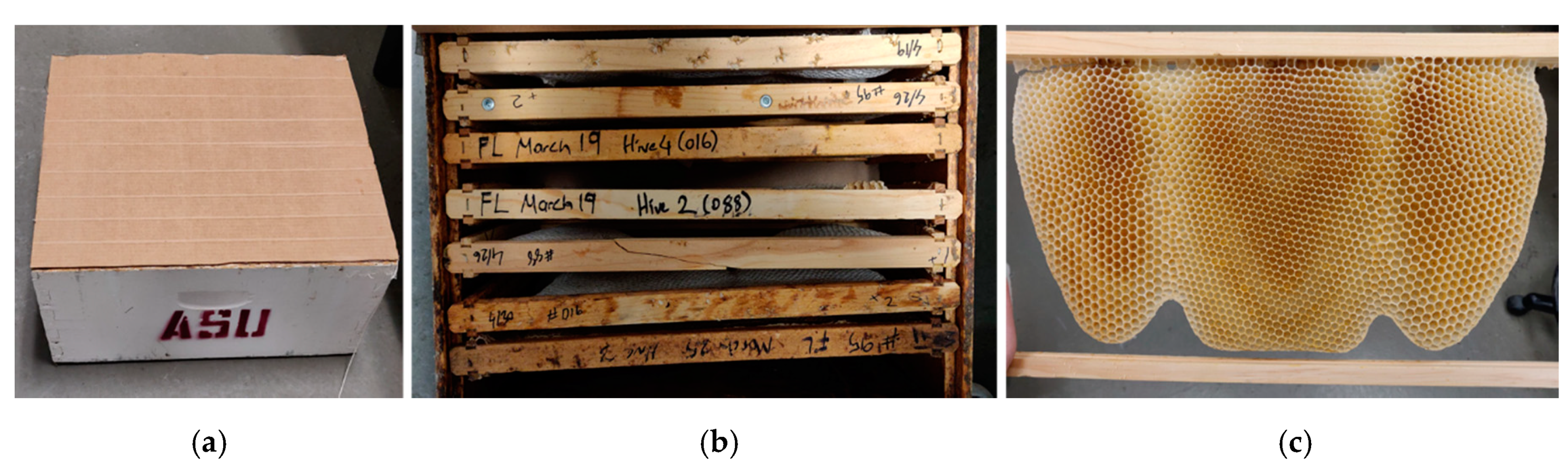 Biomimetics 05 00059 g005