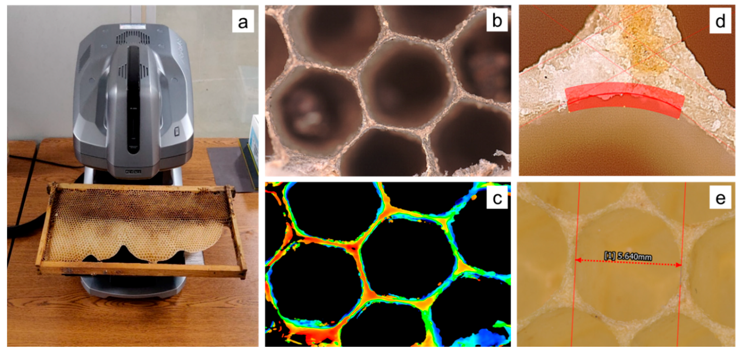 Biomimetics 05 00059 g006