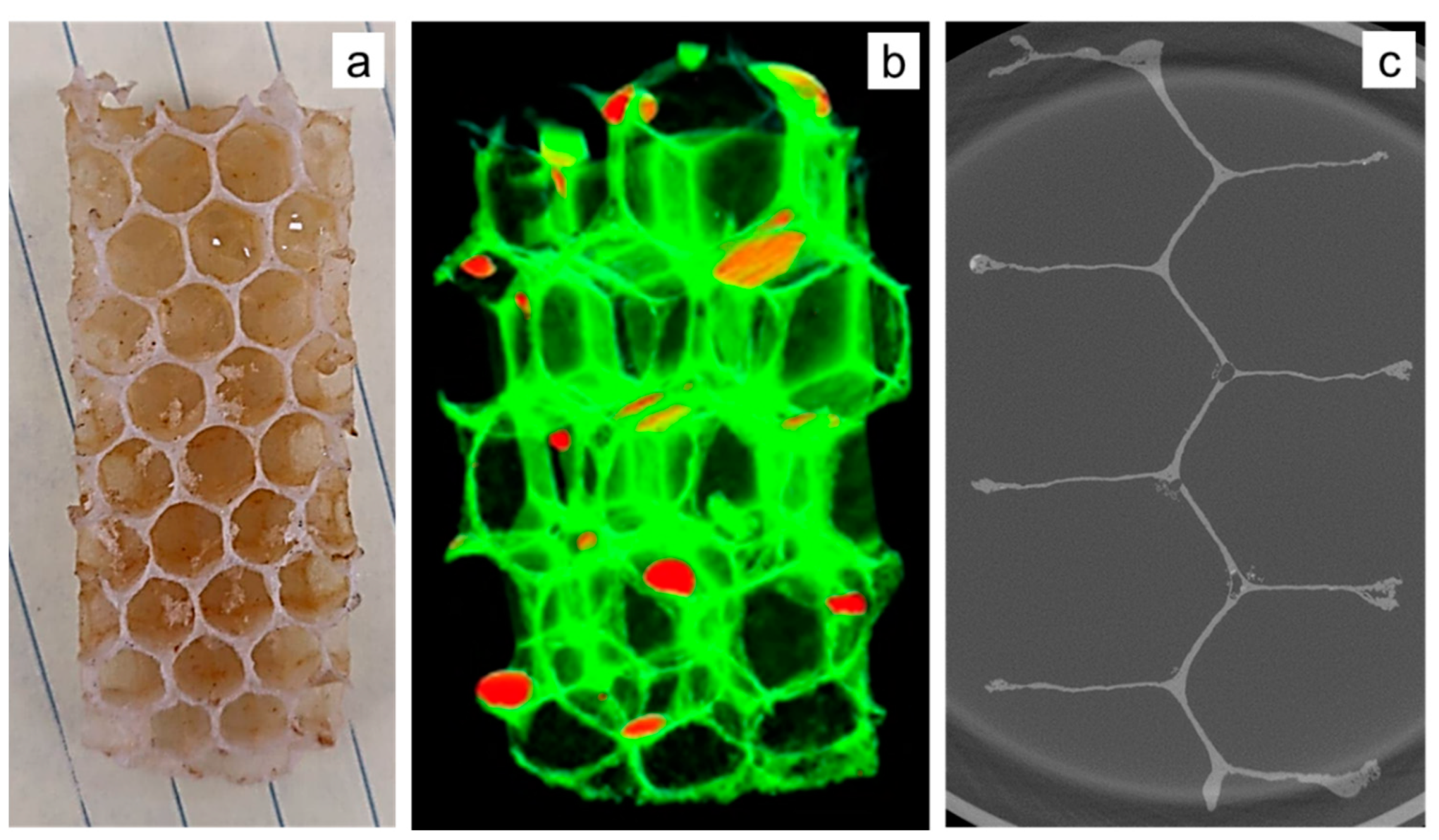 Biomimetics 05 00059 g008