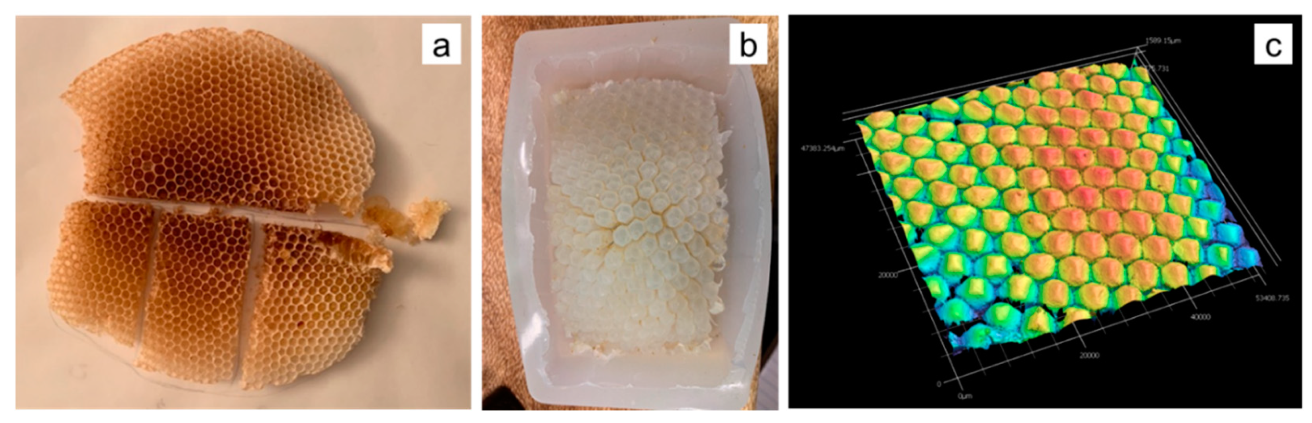 Biomimetics 05 00059 g009