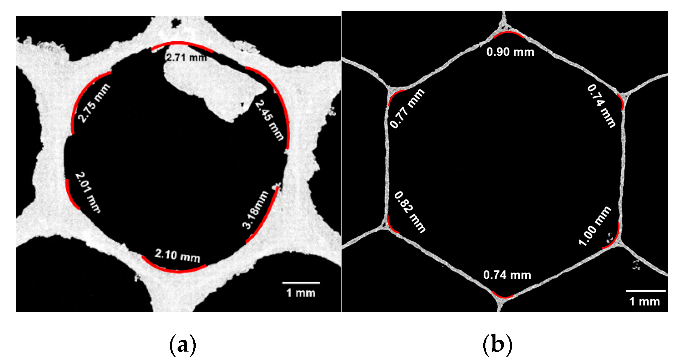 Biomimetics 05 00059 g016