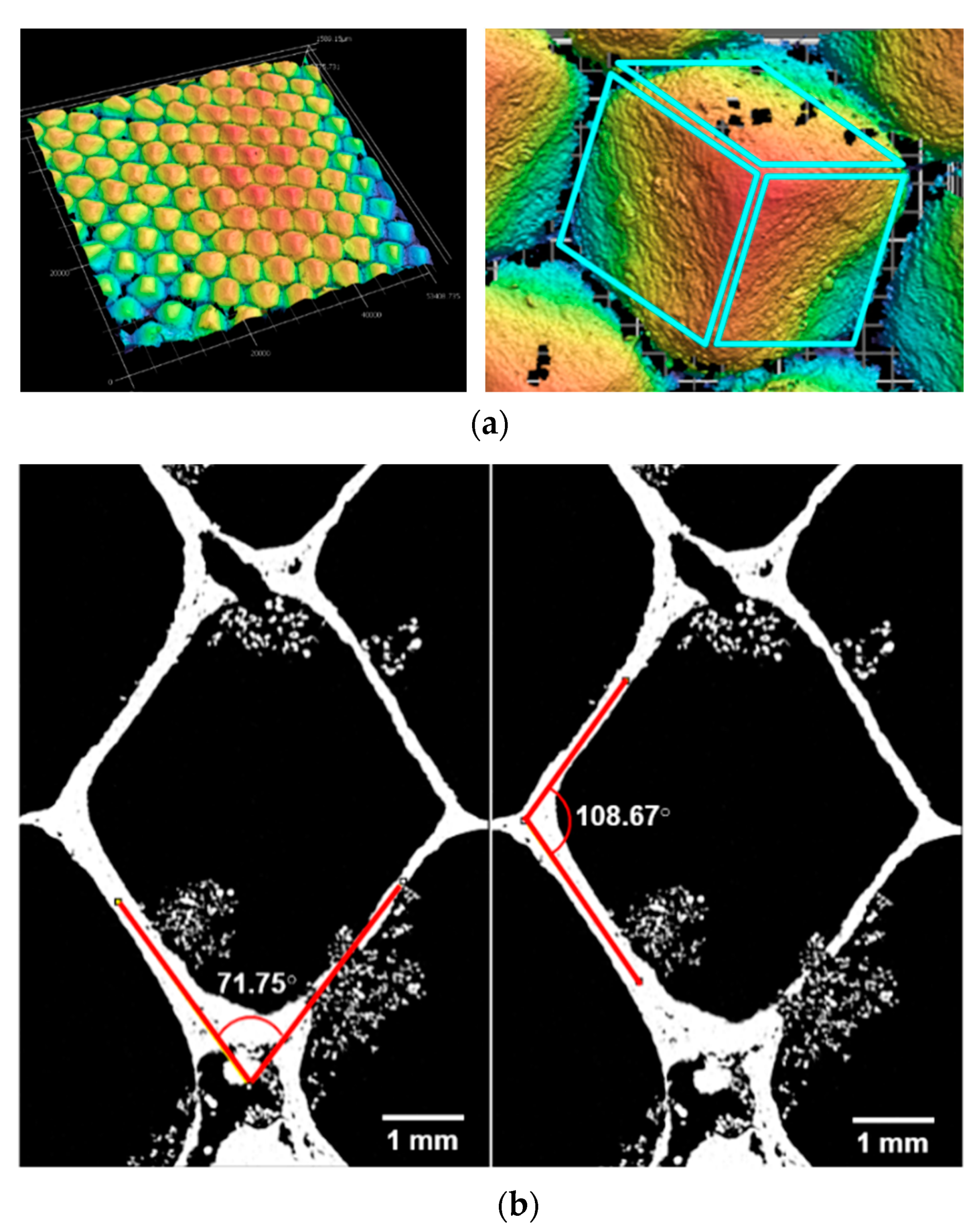 Biomimetics 05 00059 g020