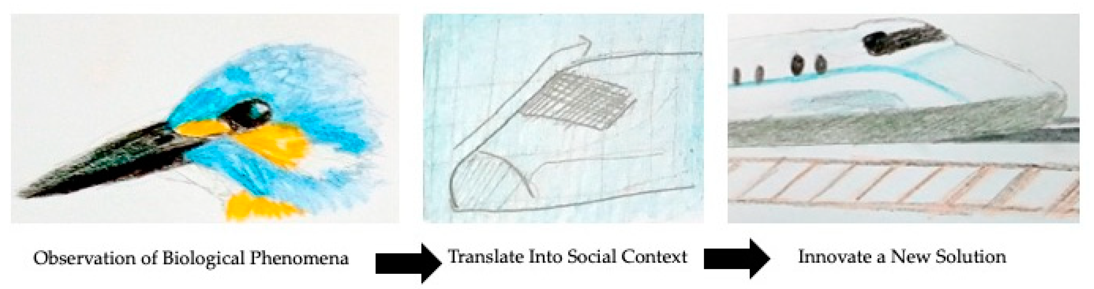 Biomimetics 05 00060 g001 Biomimetics 05 00060 g001