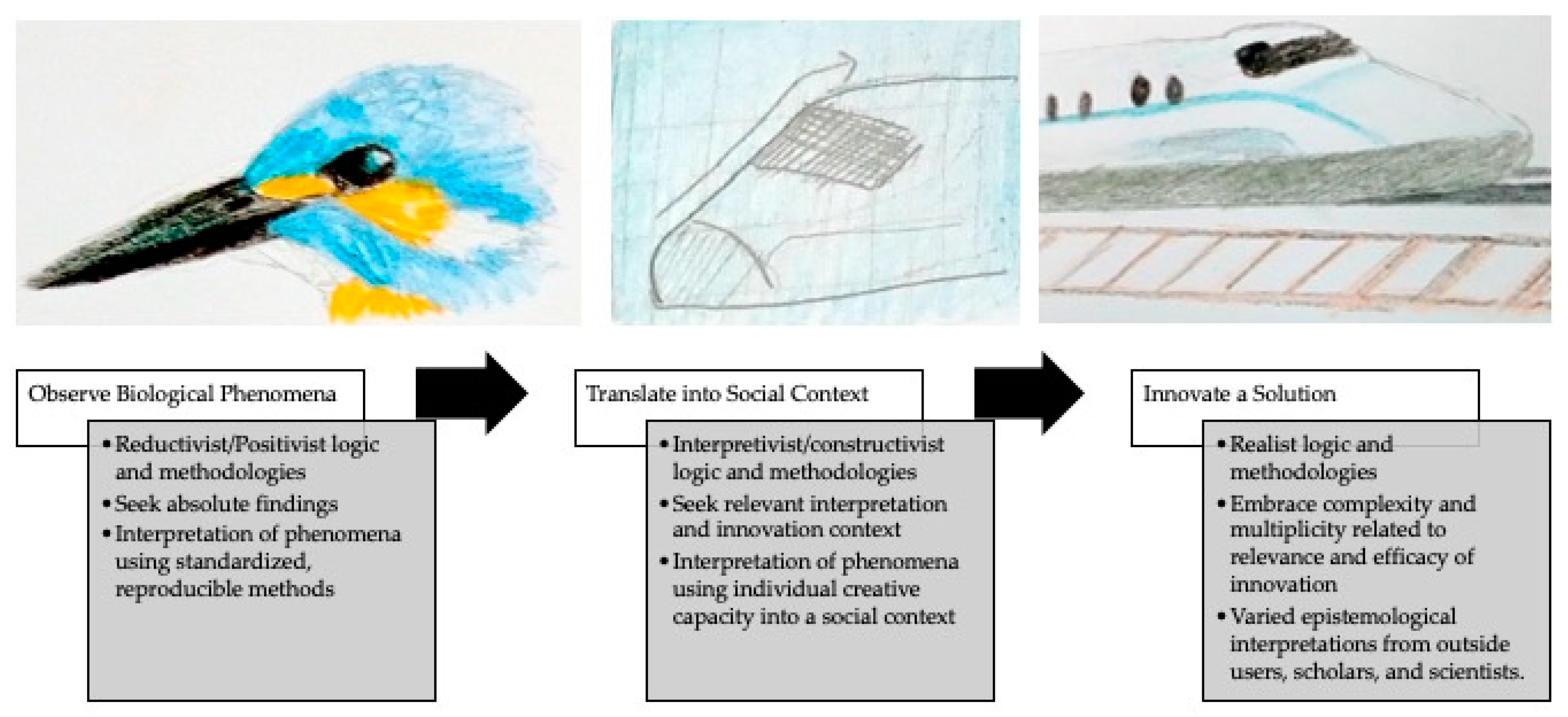 Biomimetics 05 00060 g002 Biomimetics 05 00060 g002
