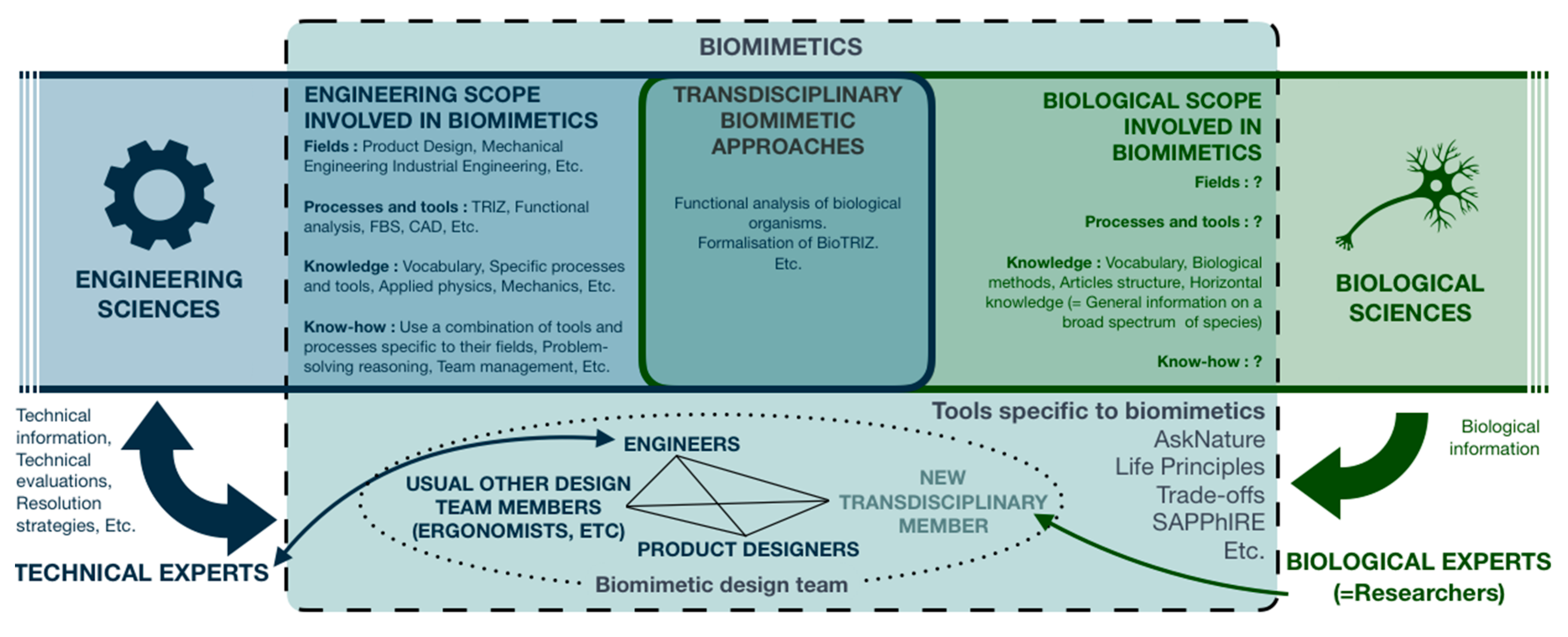 Biomimetics 05 00062 g002 Biomimetics 05 00062 g002
