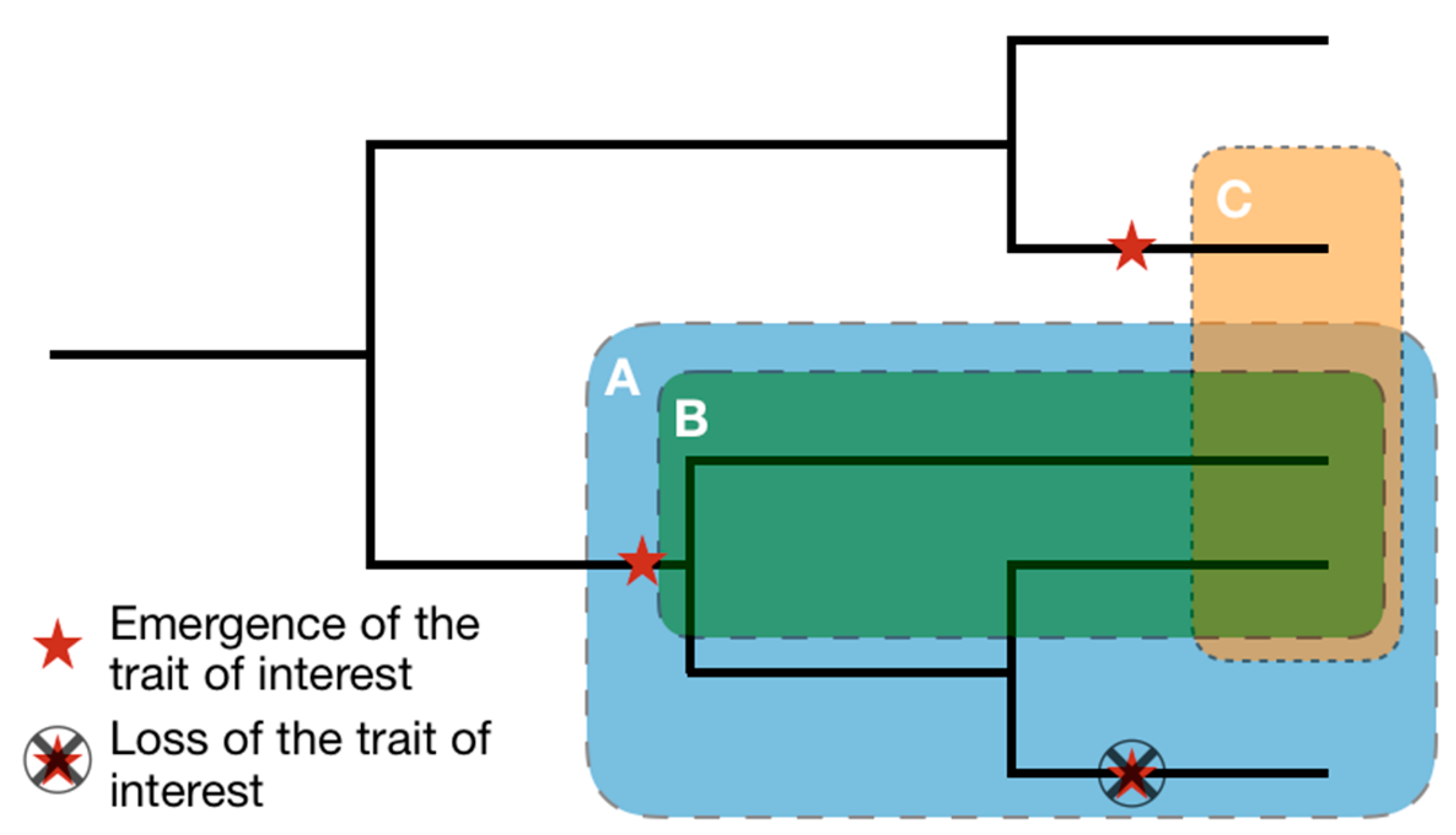 Biomimetics 05 00062 g006 Biomimetics 05 00062 g006