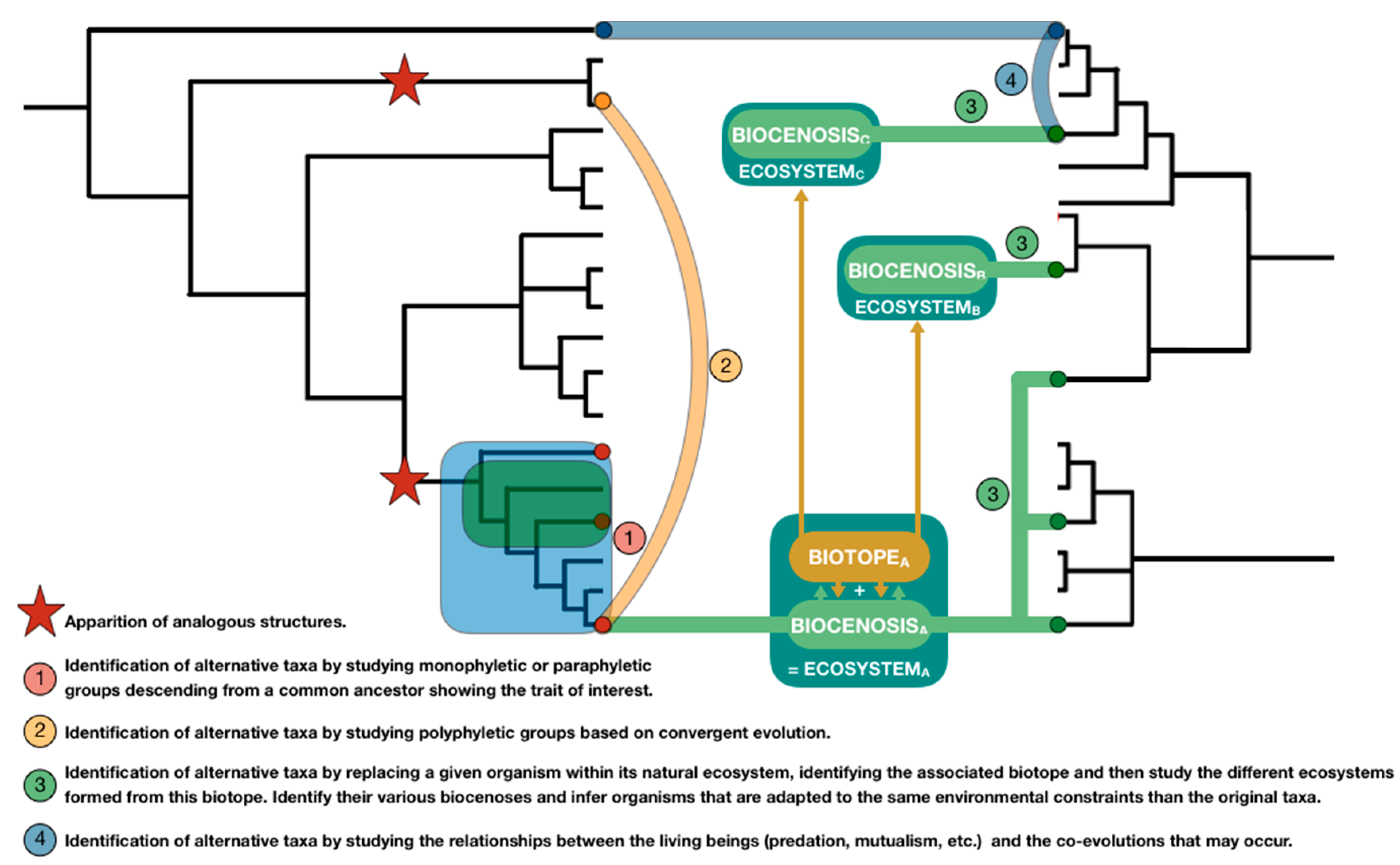 Biomimetics 05 00062 g009 Biomimetics 05 00062 g009