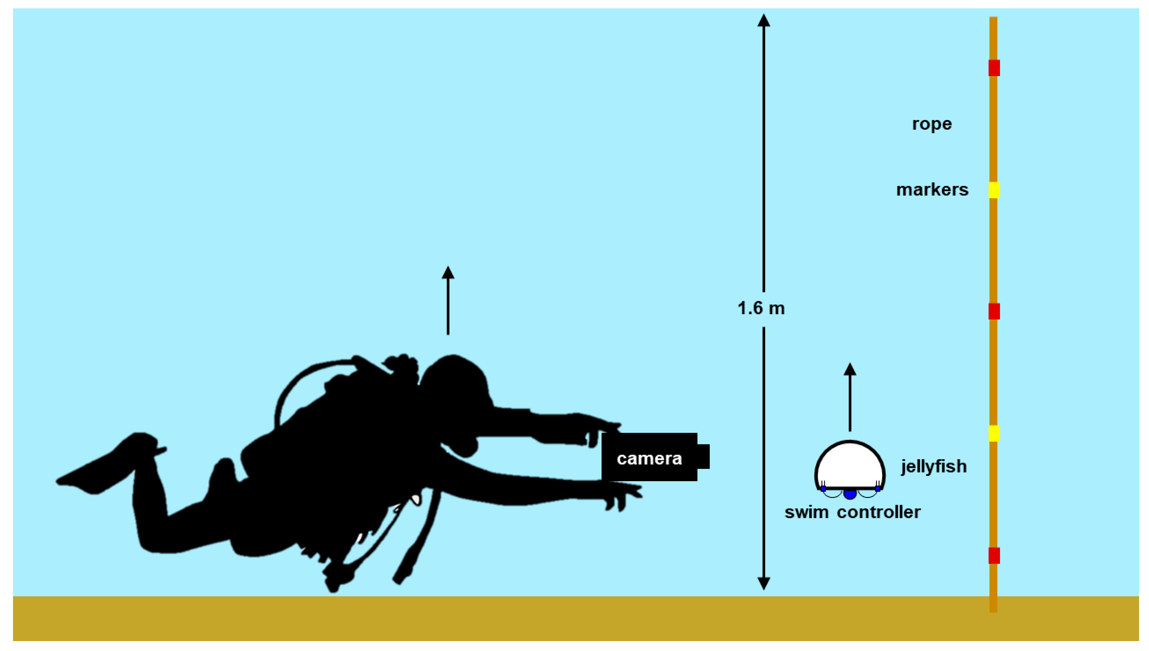 Biomimetics 05 00064 g002 Biomimetics 05 00064 g002