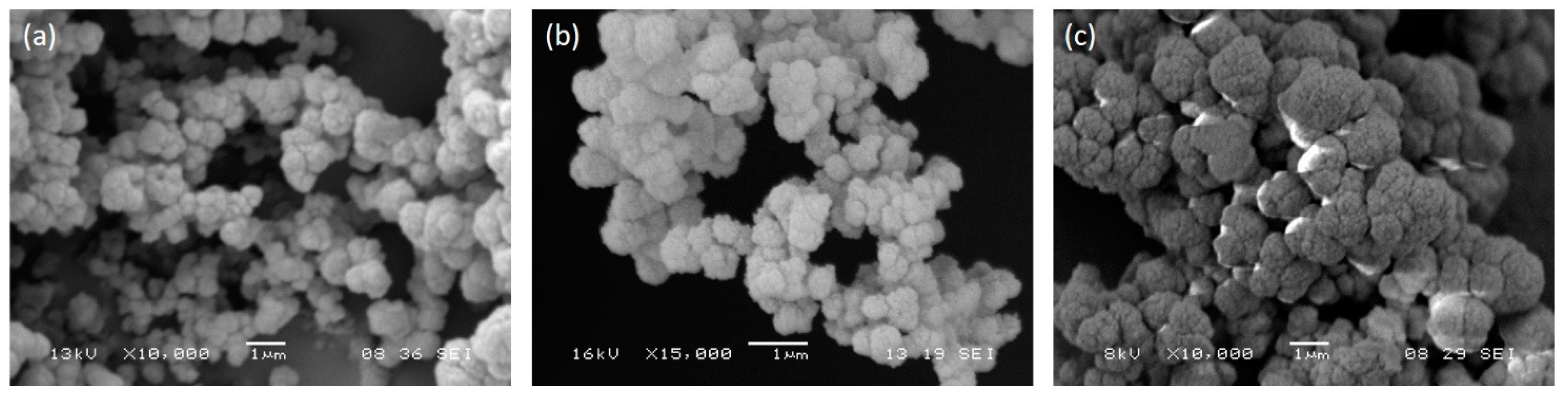 Biomimetics Free Full Text Development Of Biomimetic Alginate Gelatin Elastin Sponges With Recognition Properties Toward Bioactive Peptides For Cardiac Tissue Engineering Html Biomimetics Free Full Text Development Of Biomimetic Alginate Gelatin Elastin Sponges With Recognition Properties Toward Bioactive Peptides For Cardiac Tissue Engineering Html