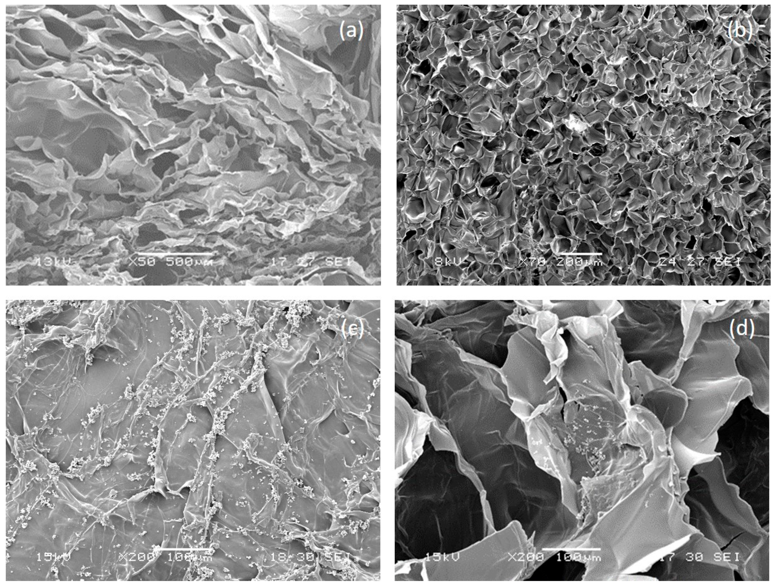 Biomimetics 05 00067 g003 Biomimetics 05 00067 g003