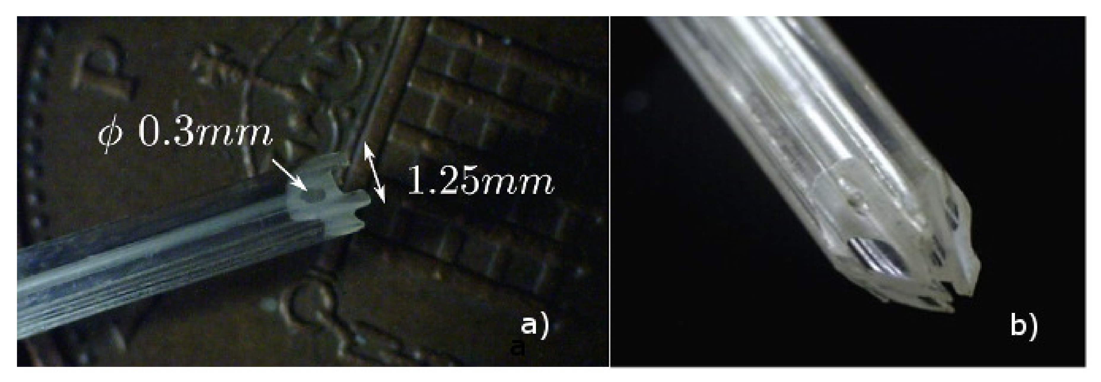 Biomimetics 05 00068 g003