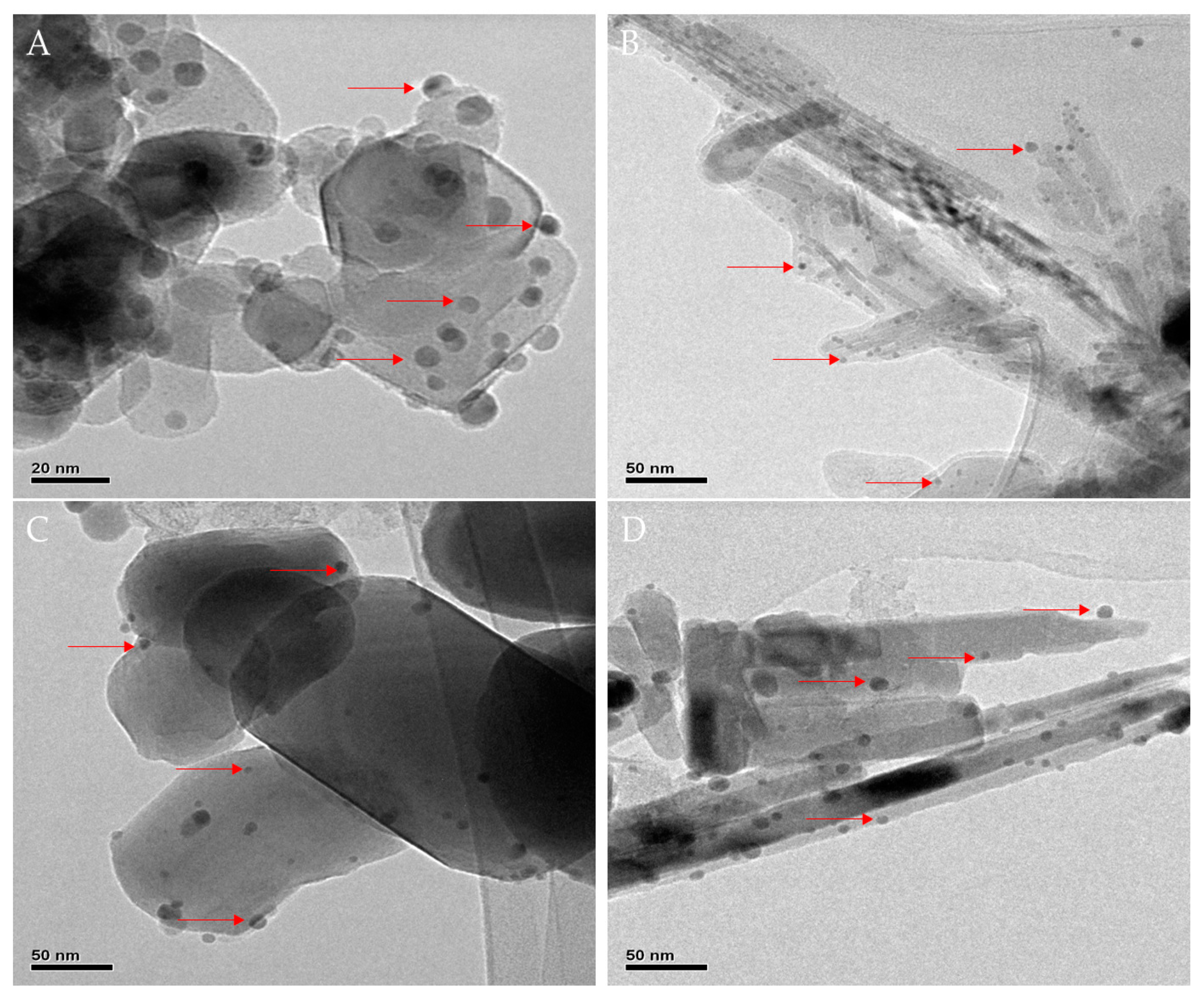 Biomimetics 06 00004 g002 Biomimetics 06 00004 g002