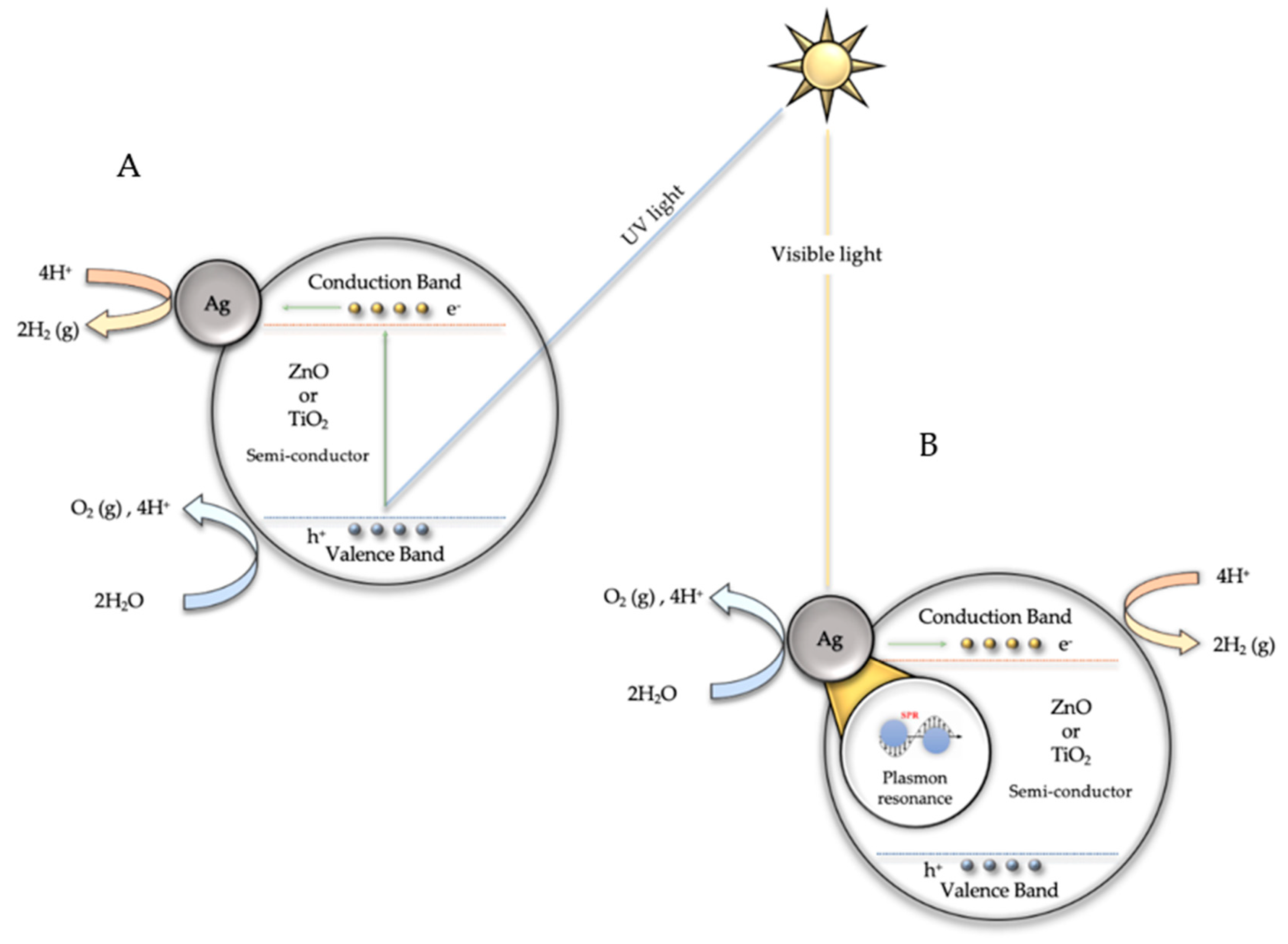 Biomimetics 06 00004 g010 Biomimetics 06 00004 g010