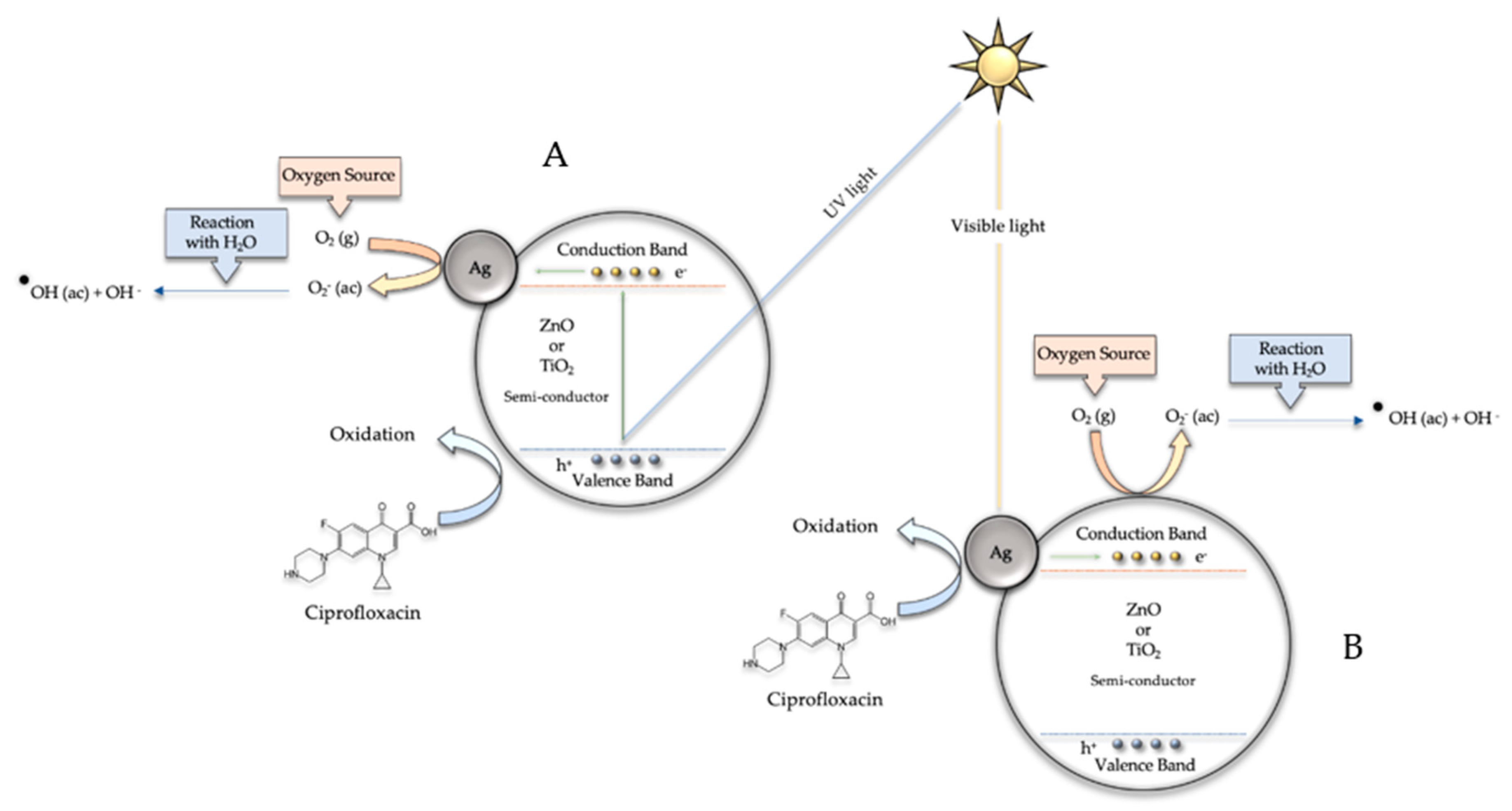 Biomimetics 06 00004 g011 Biomimetics 06 00004 g011