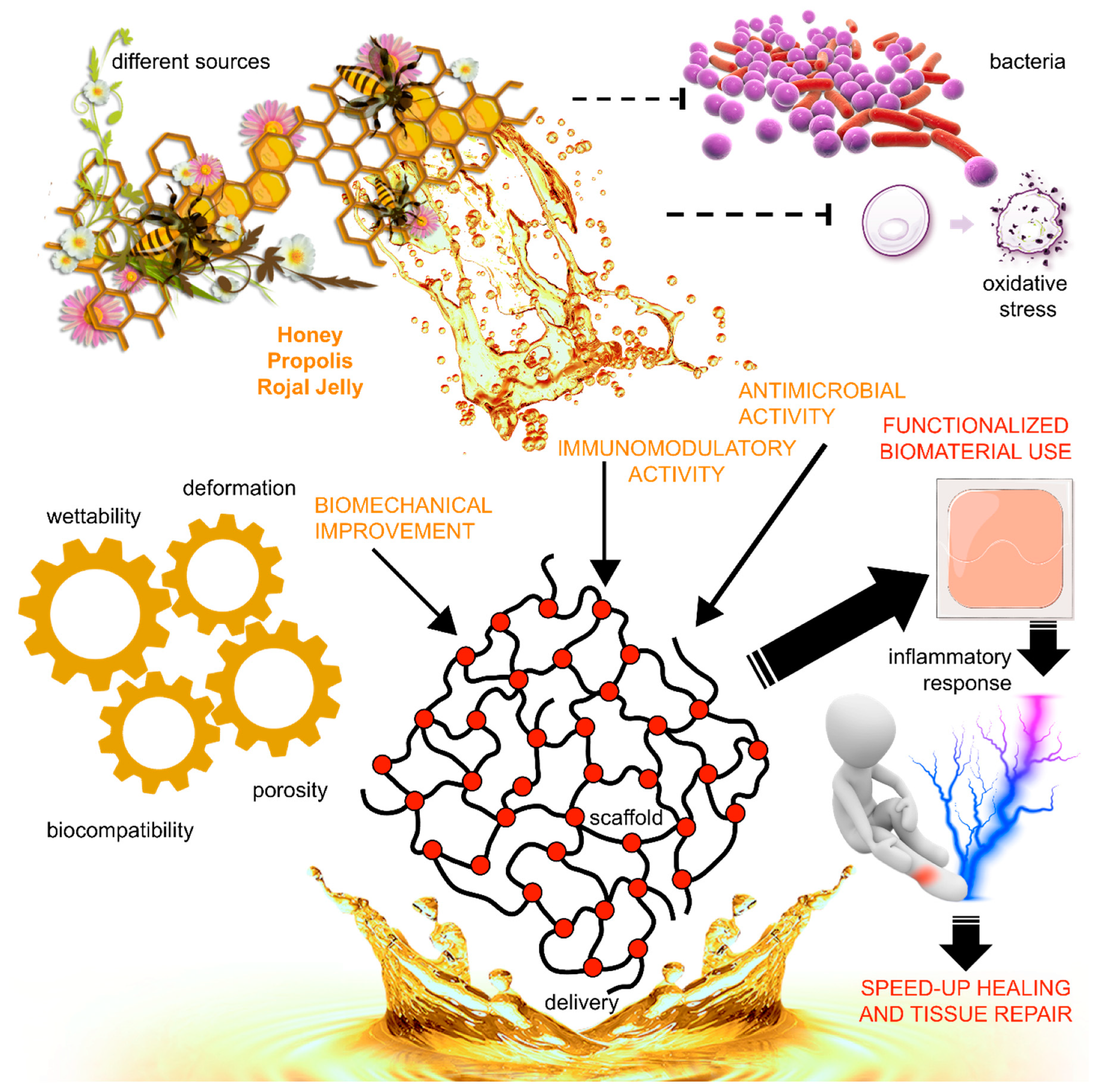 Biomimetics 06 00006 g001