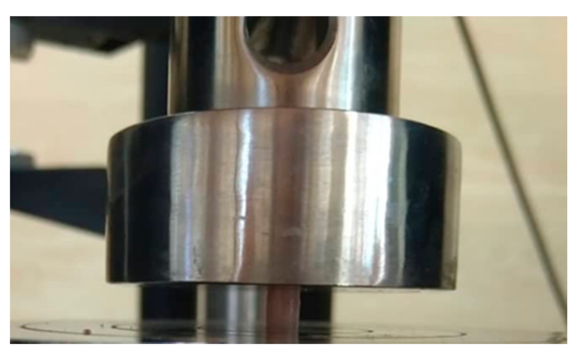 Biomimetics 06 00007 g002 Biomimetics 06 00007 g002