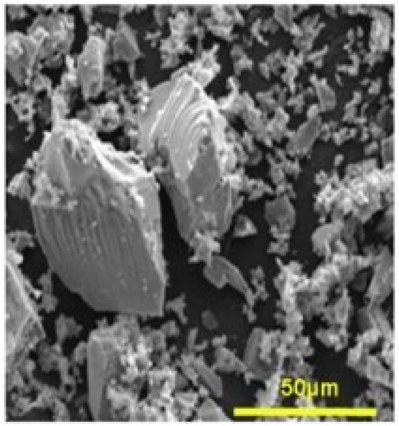 Biomimetics 06 00009 g001 Biomimetics 06 00009 g001