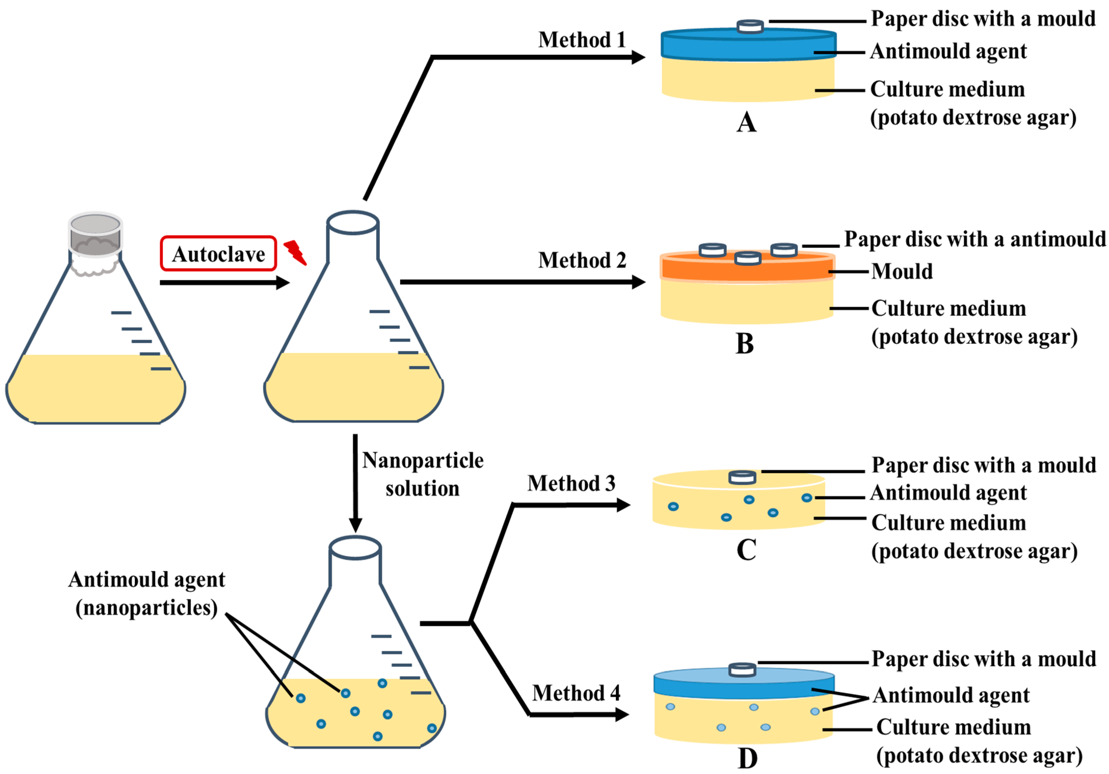 Biomimetics 06 00019 g001 Biomimetics 06 00019 g001
