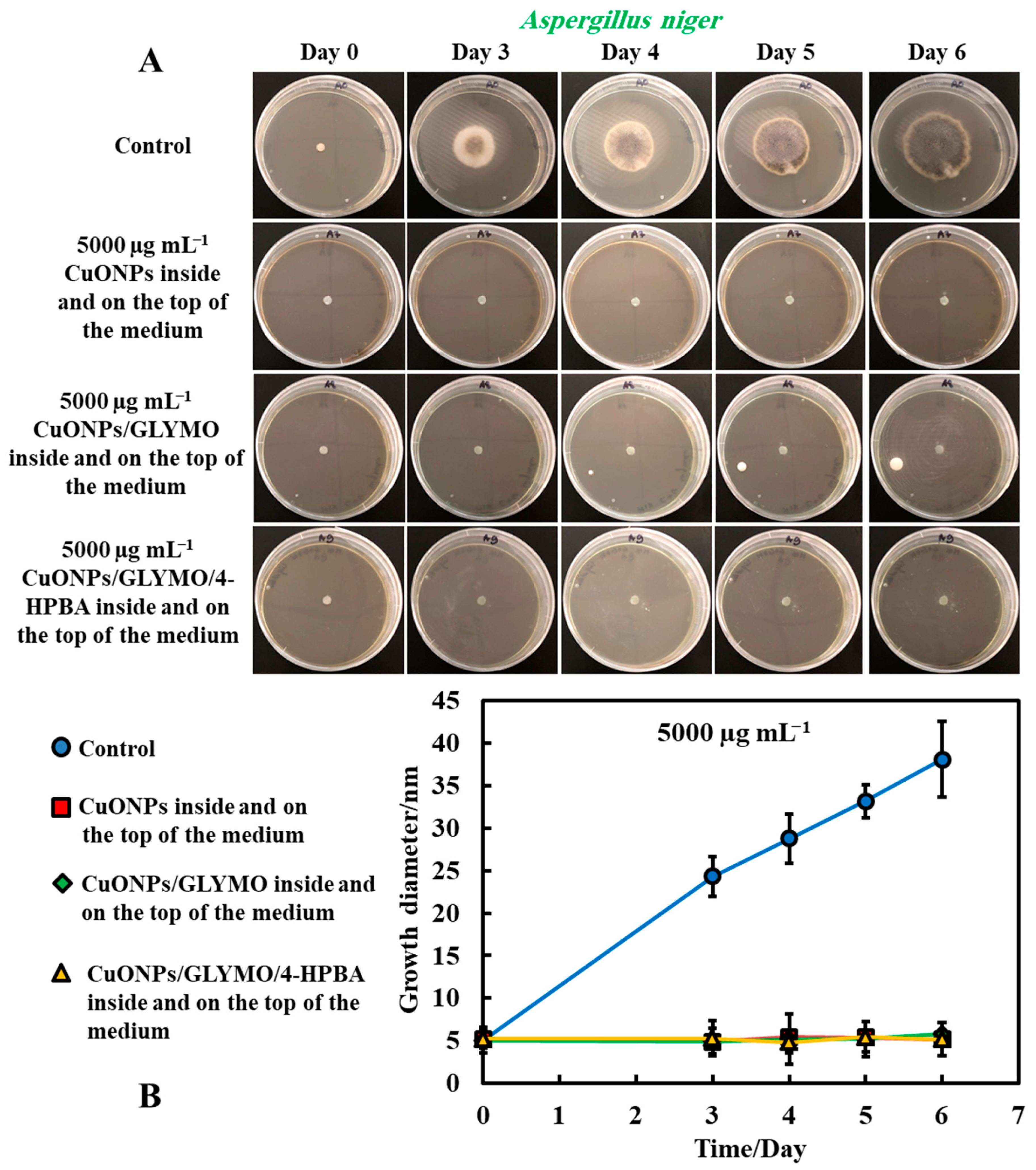 Biomimetics 06 00019 g009 Biomimetics 06 00019 g009