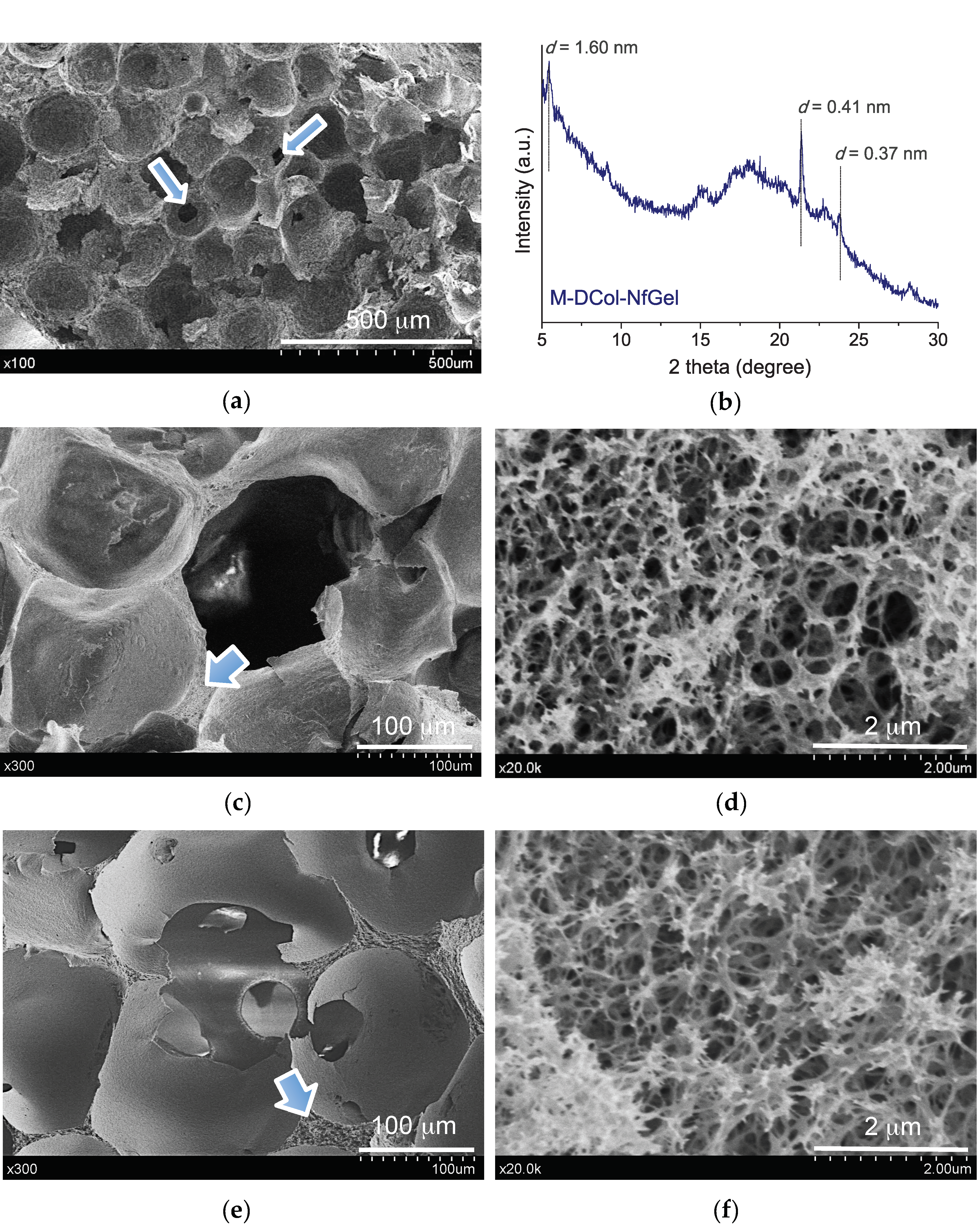 Biomimetics 06 00020 g005