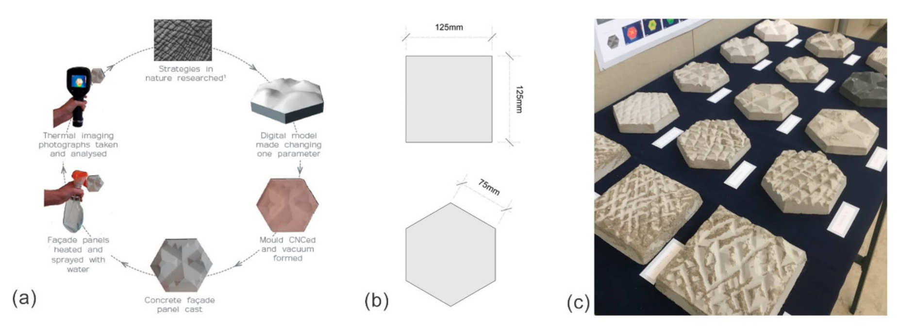 Biomimetics 06 00024 g002