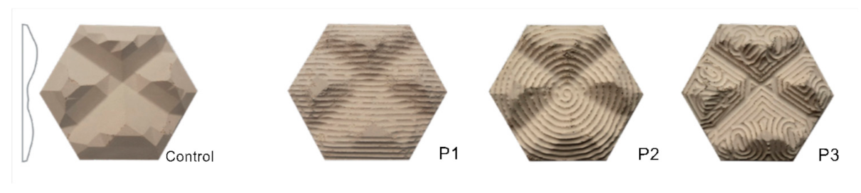 Biomimetics 06 00024 g012