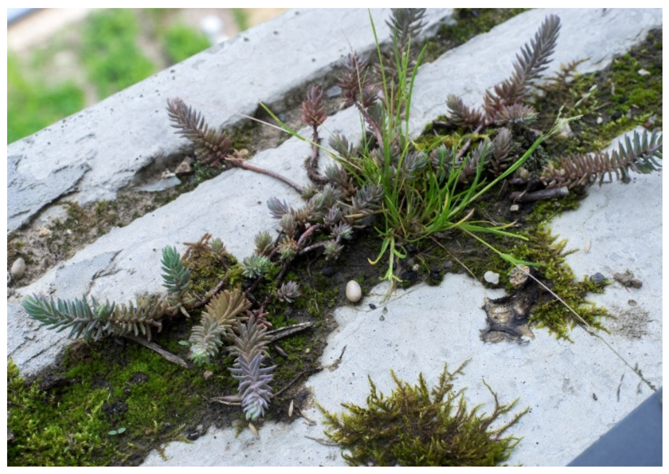 Biomimetics 06 00027 g015 Biomimetics 06 00027 g015