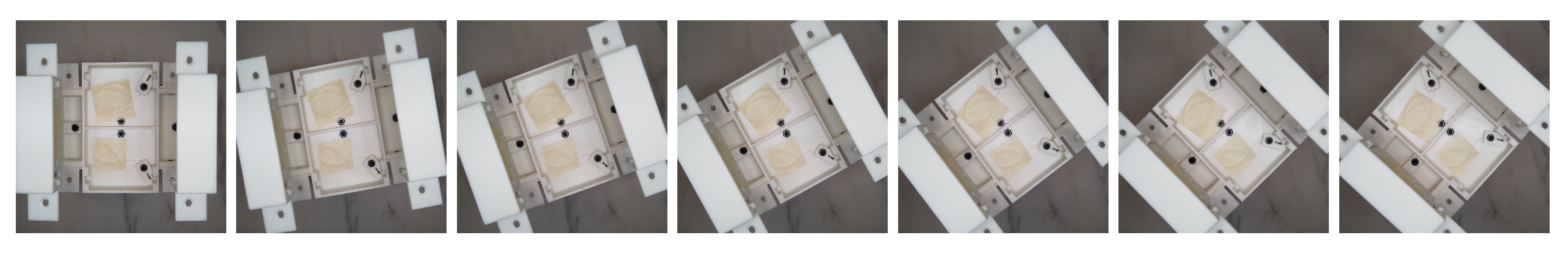 Biomimetics 06 00030 g011